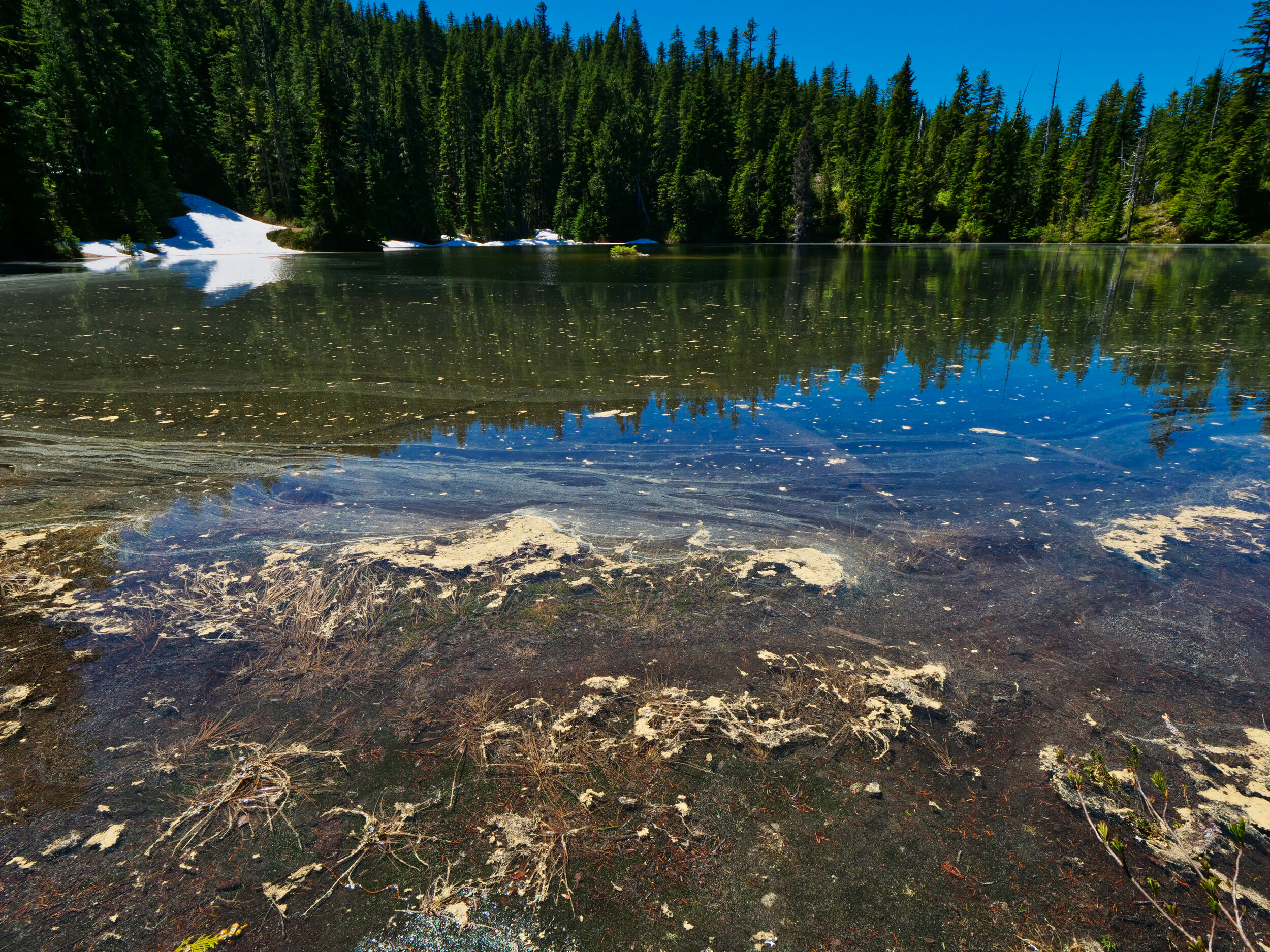 Golden Lakes