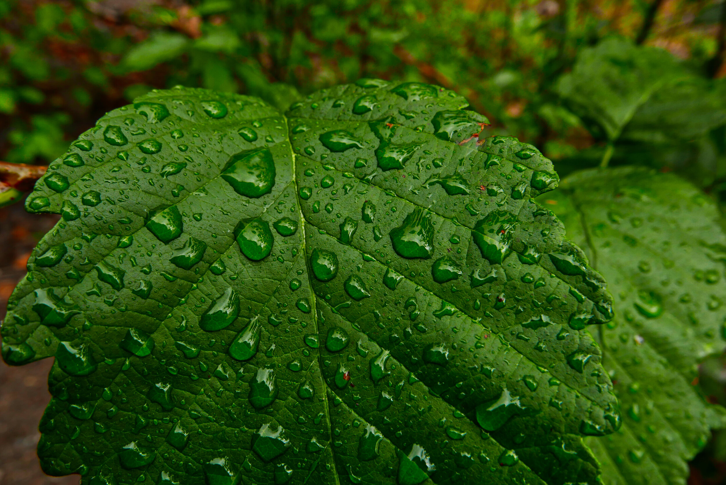 Droplets