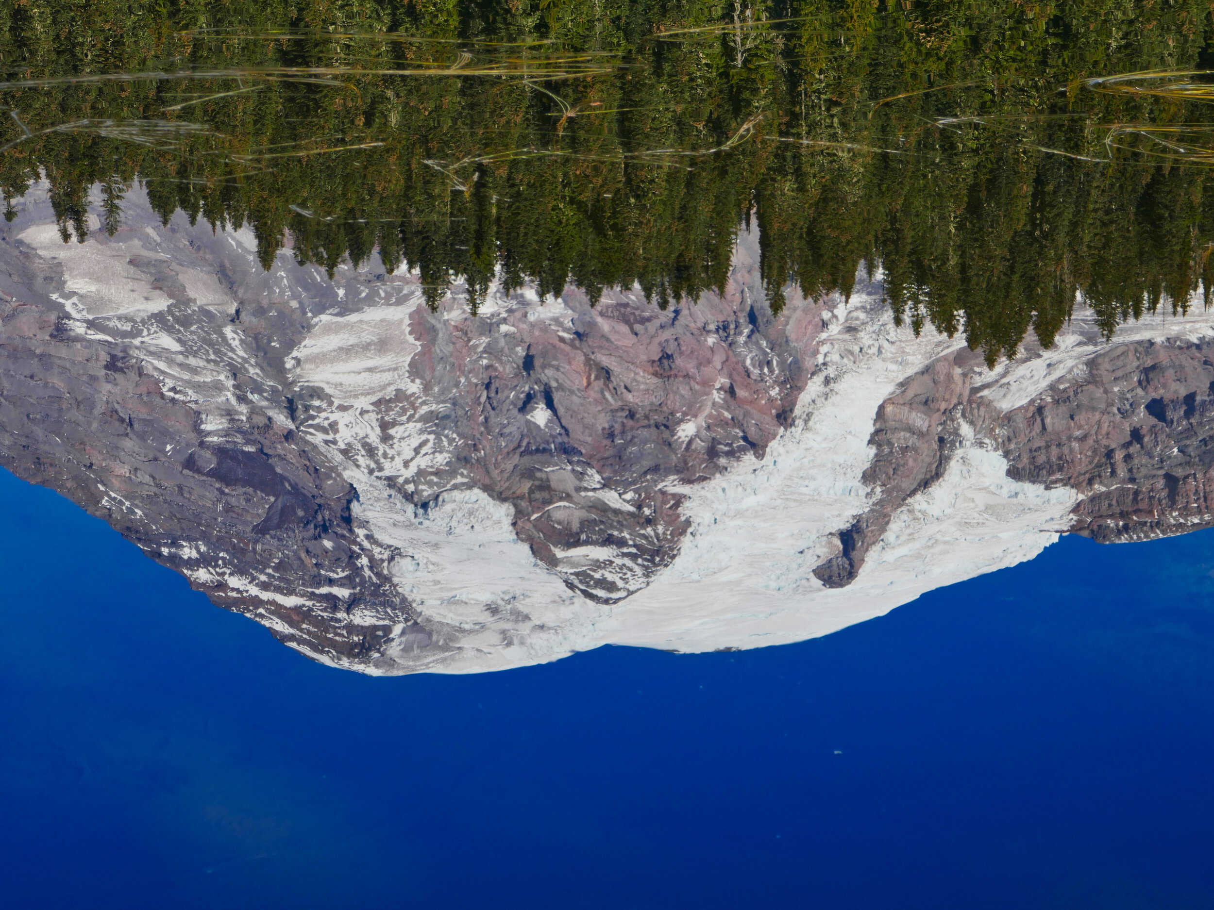 Reflection