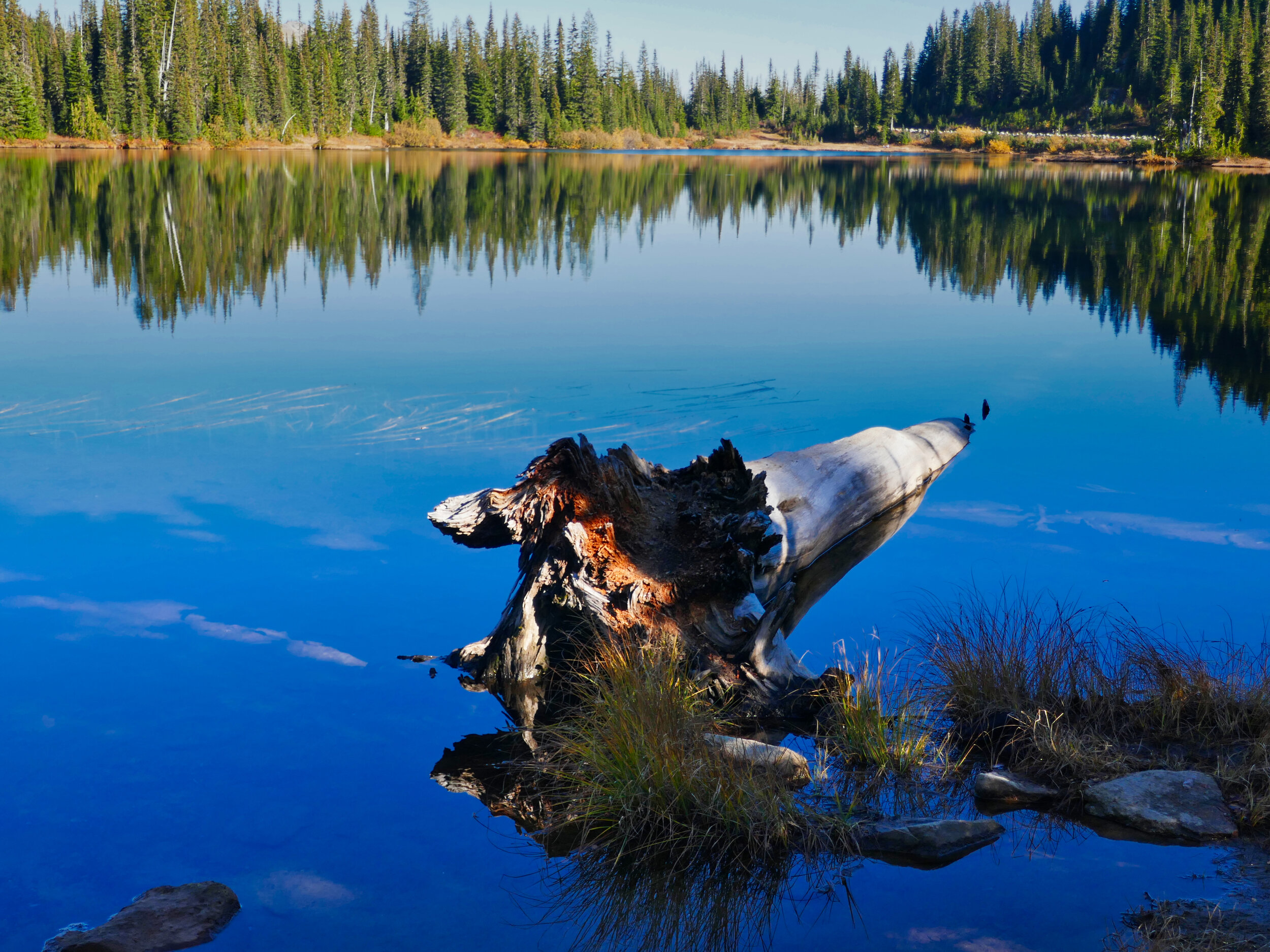 Reflection Lake