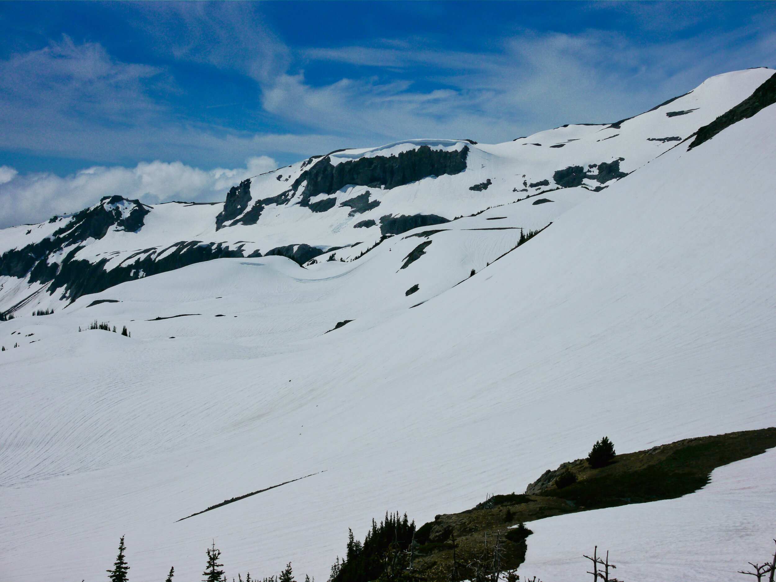 Snowy Trail