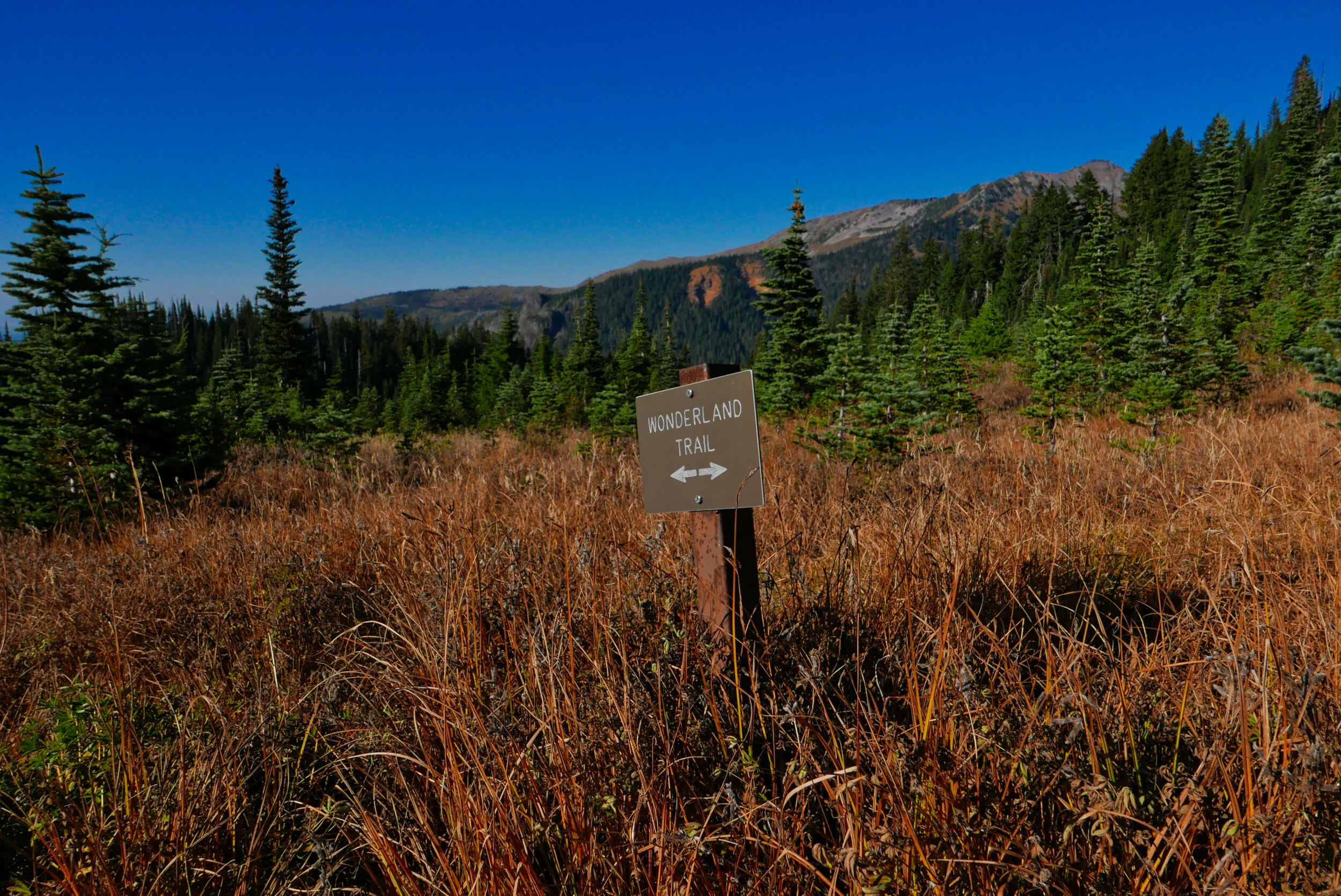 Wonderland sign