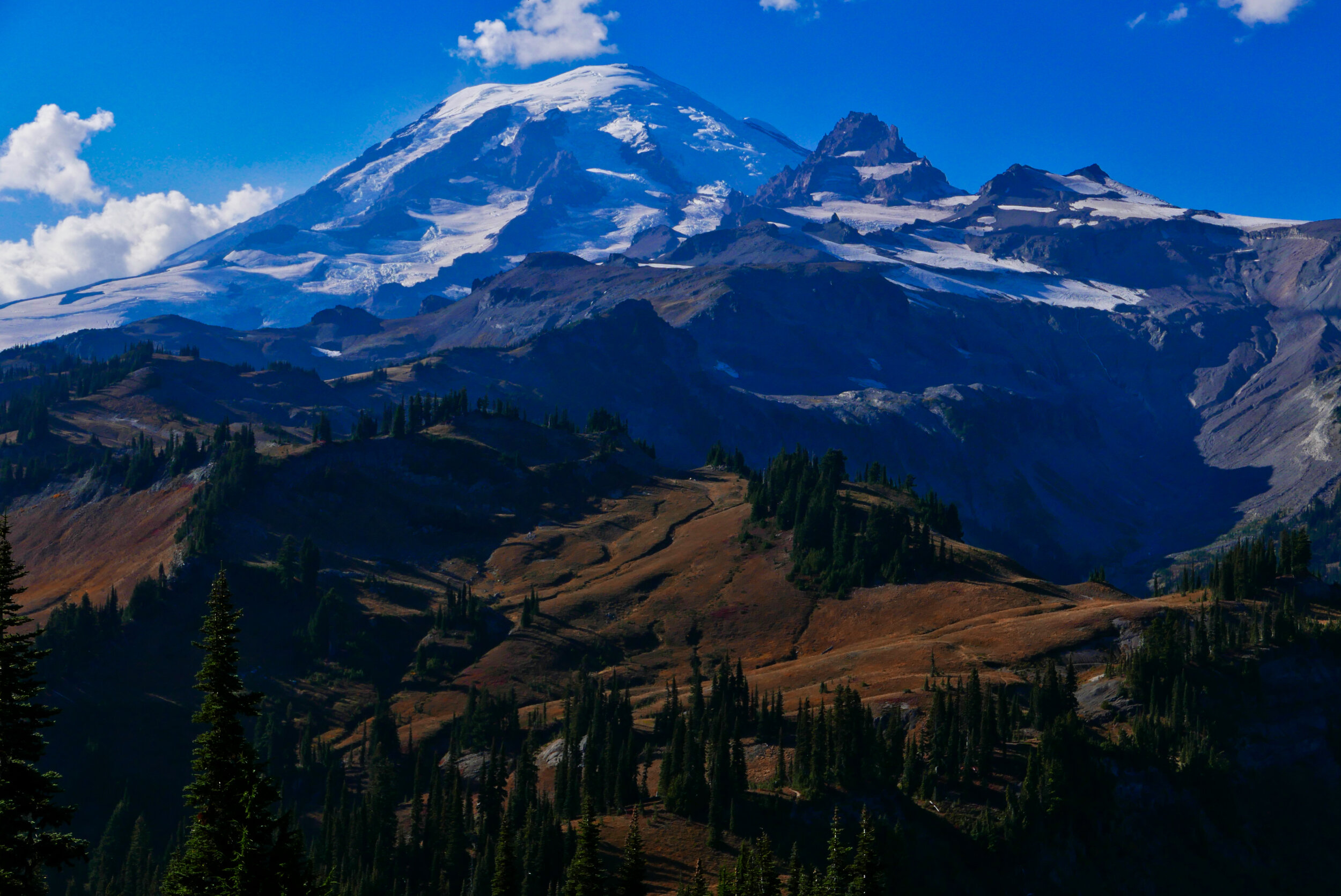 Mt. Rainier