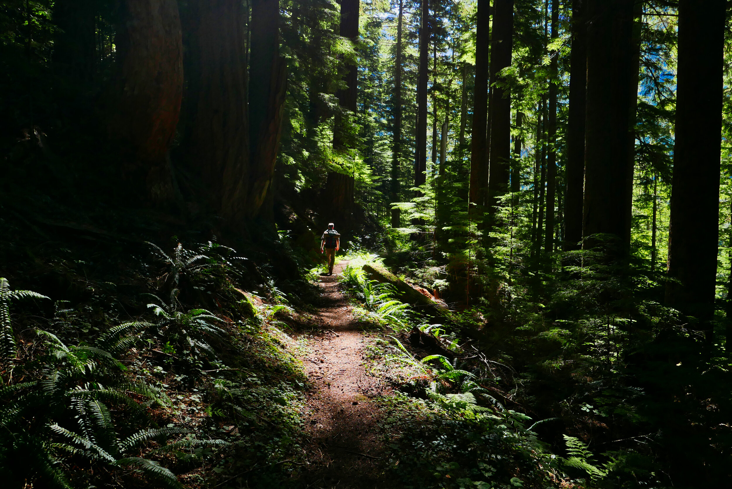 Wonderland above North Puyallup