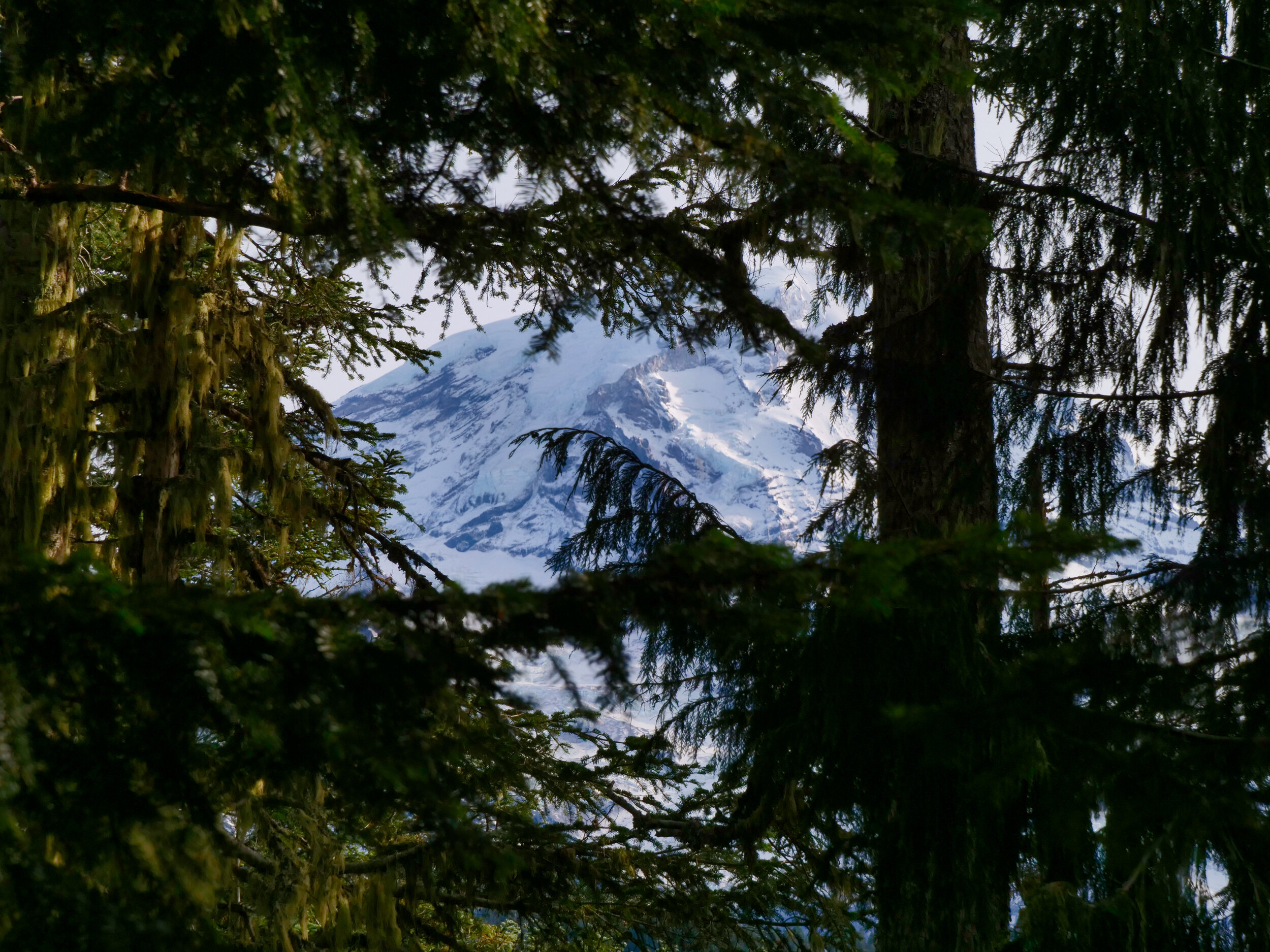 Peek-a-boo view while descending Berry Peak (5120’), Mt. Rainier National Park