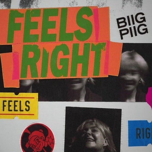 Biig Piig - Feels Right // Single