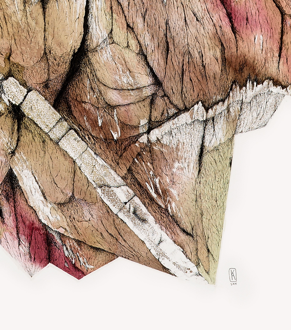 KA_Feb1_retouch_detail2.jpg
