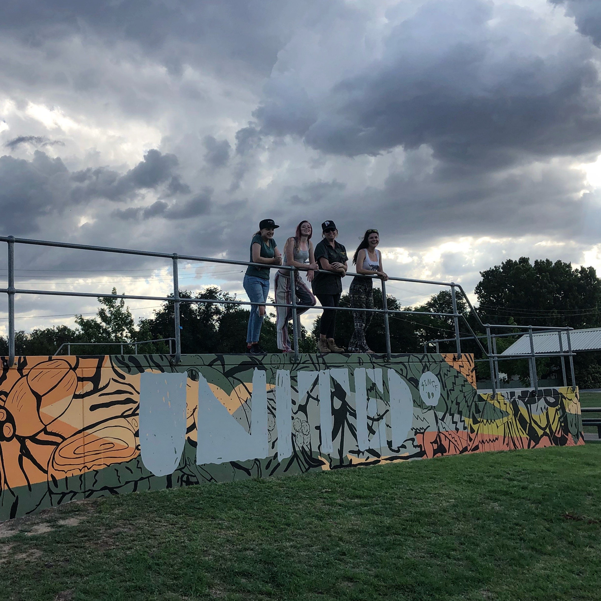 3. Chiltern Skate Park mural 2018.JPG