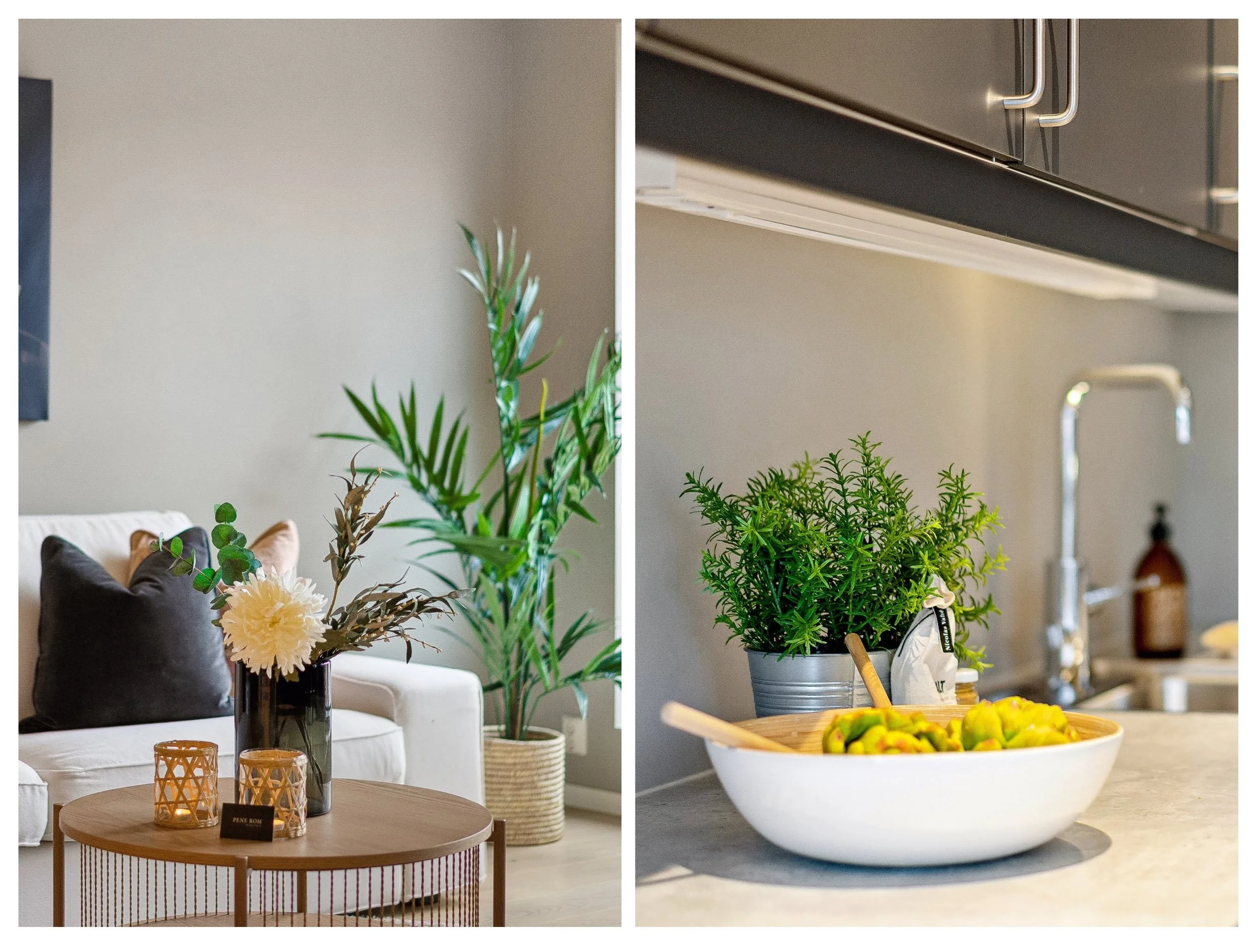 1A69C120-398D-4925-BDE9-9D44F02585A3-COLLAGE.jpg