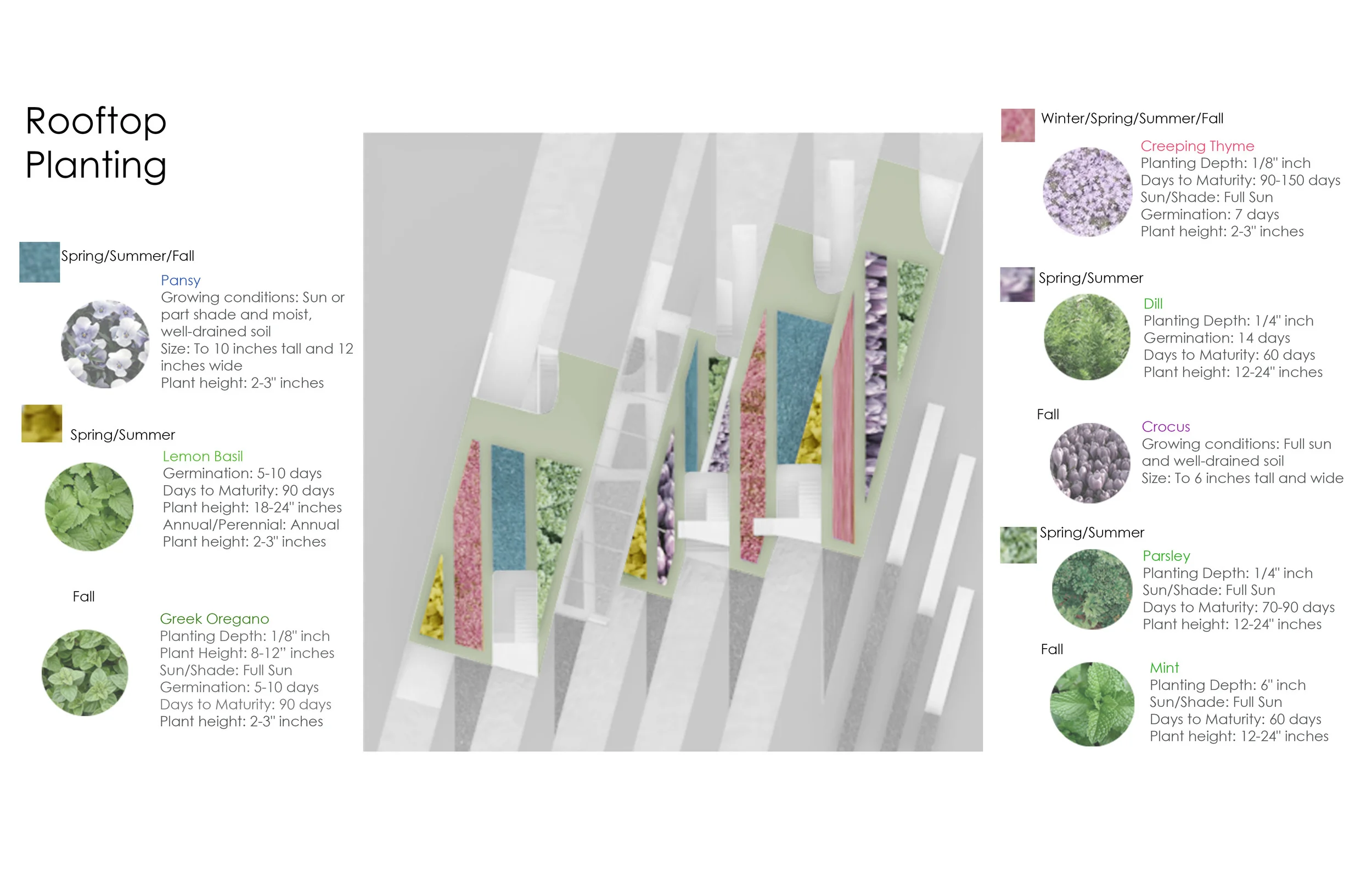 planting diagram-1