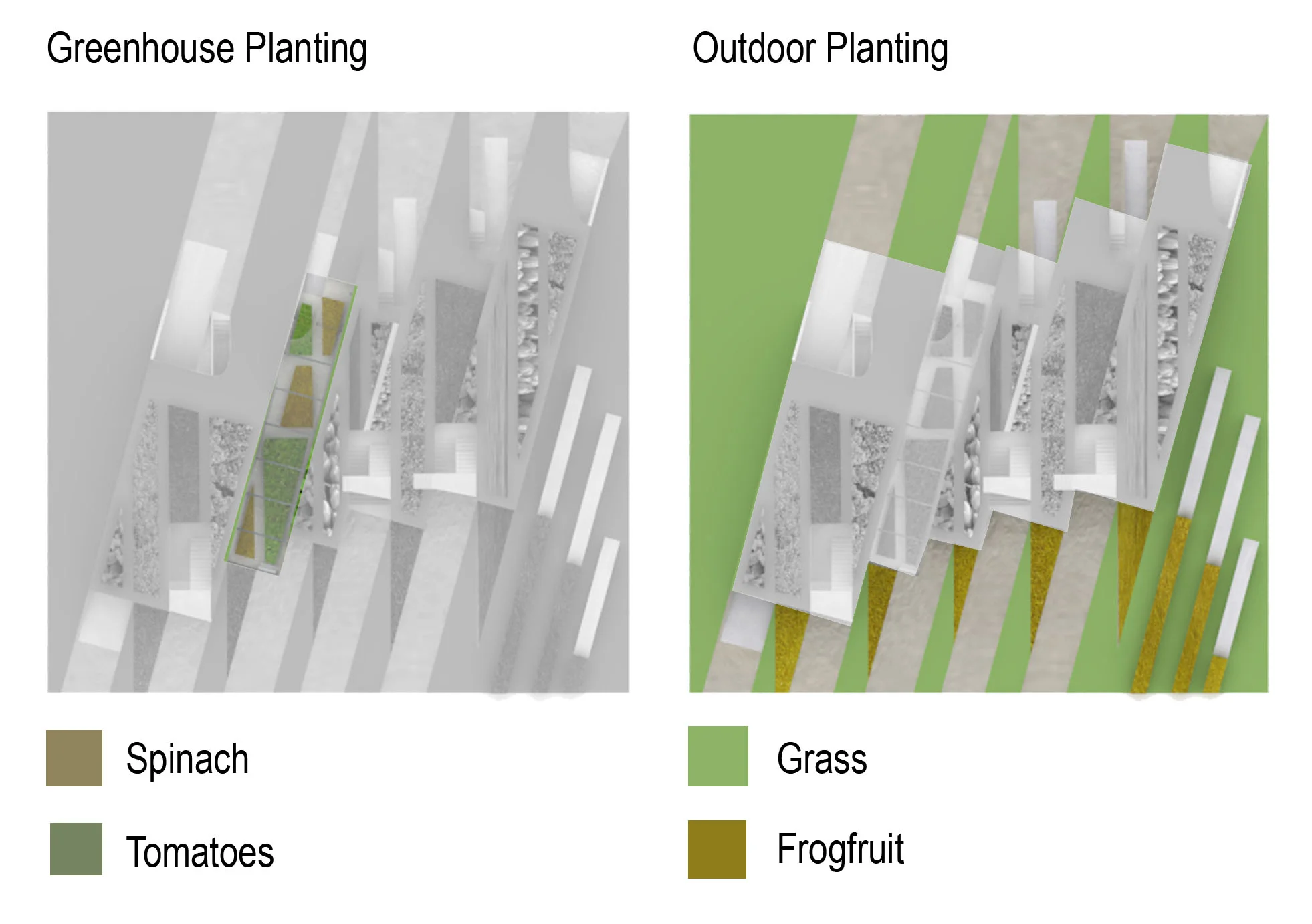 planting diagram-2