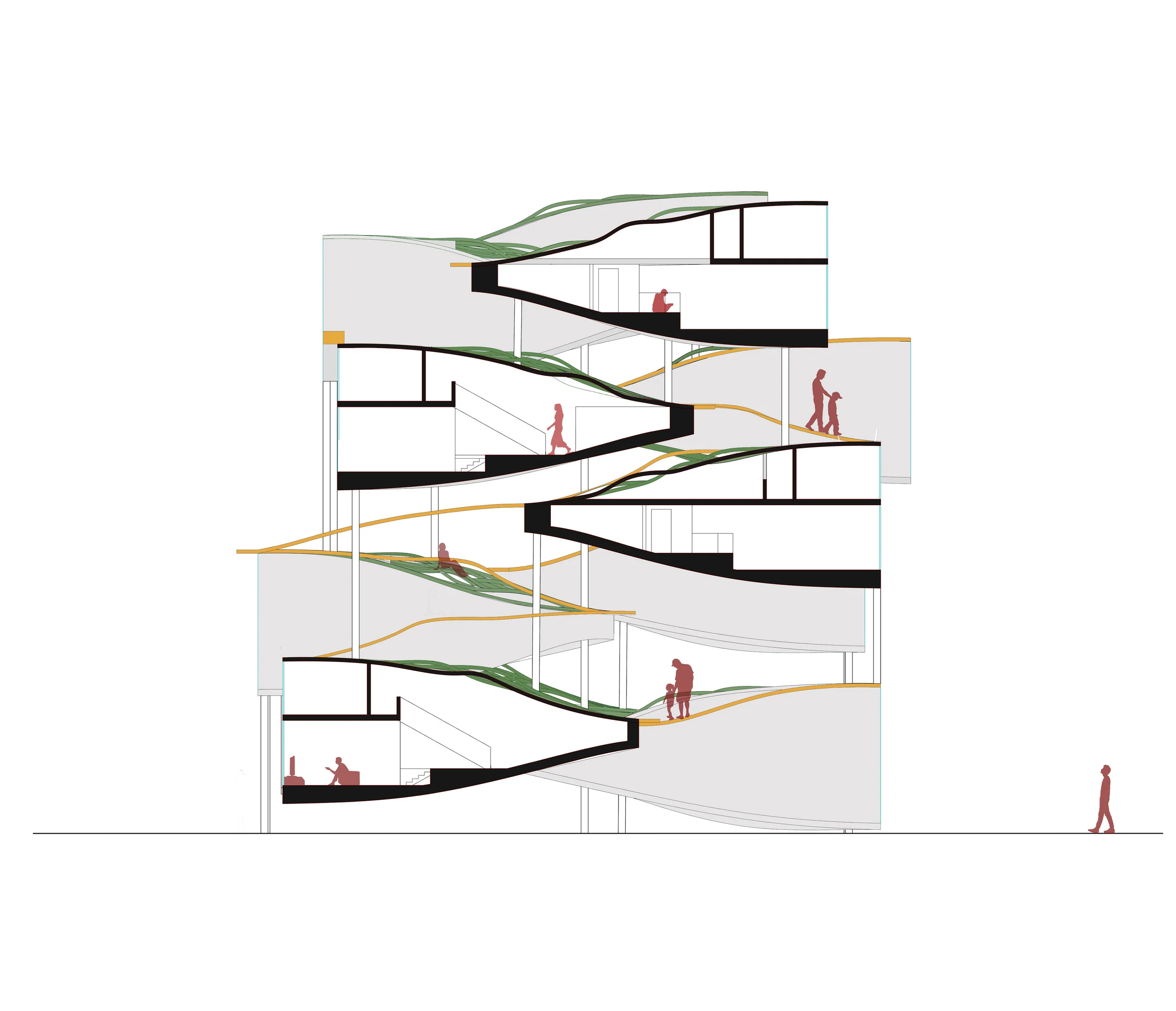 section drawing