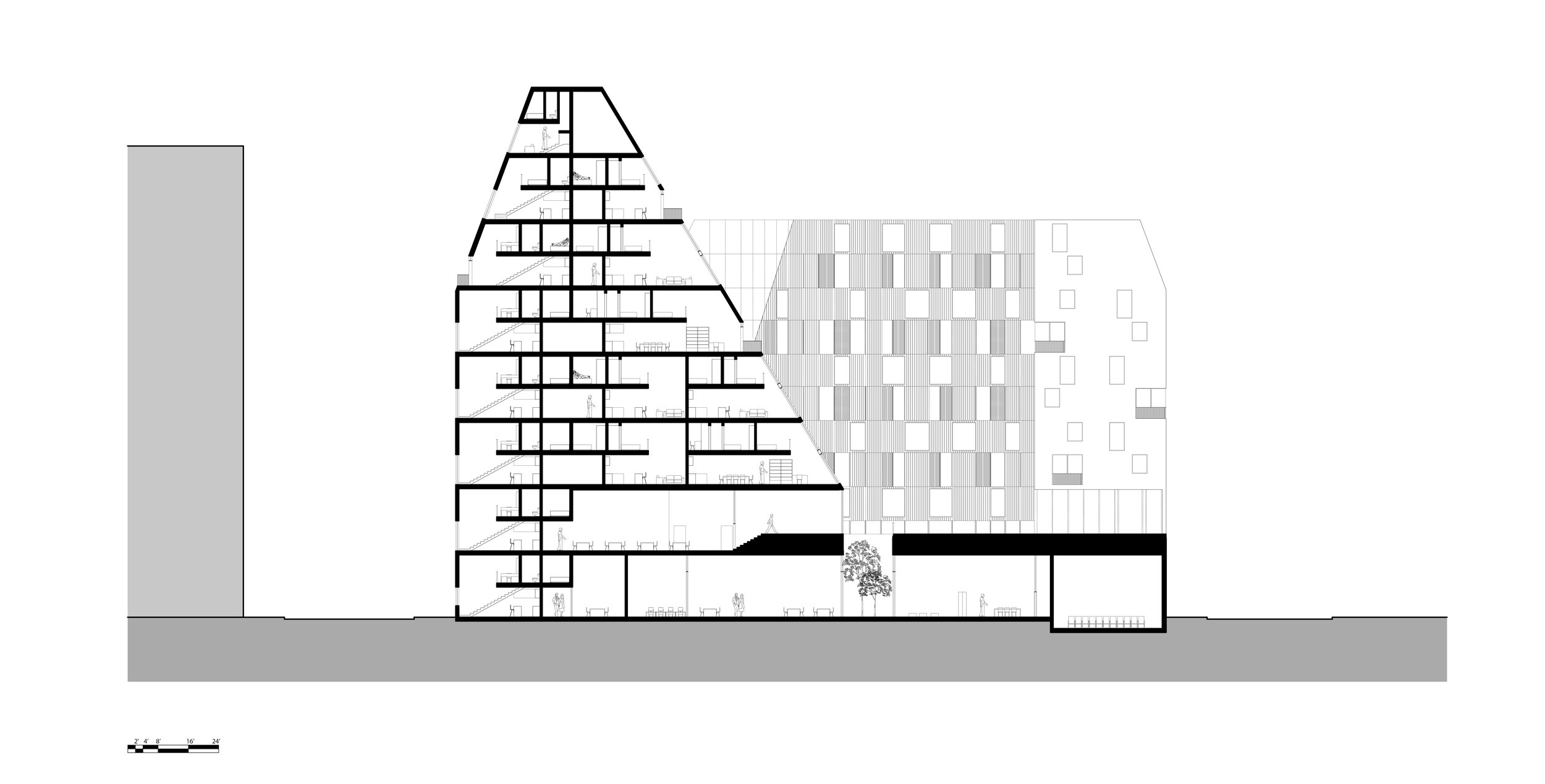 N-S section