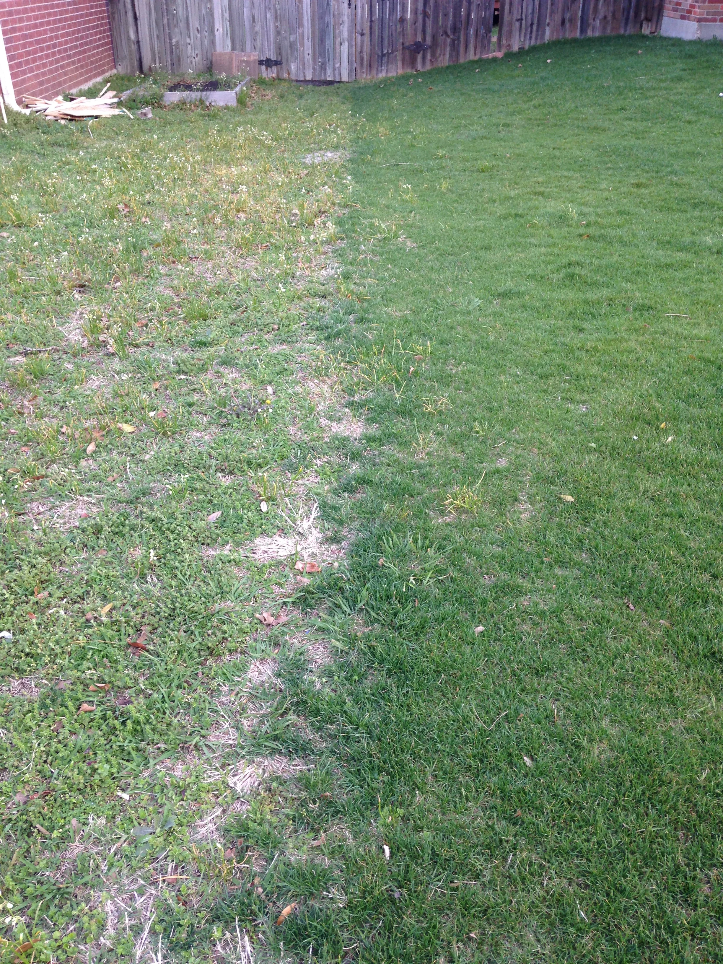 The grass can be greener on your side with the help of Fertilogic!!