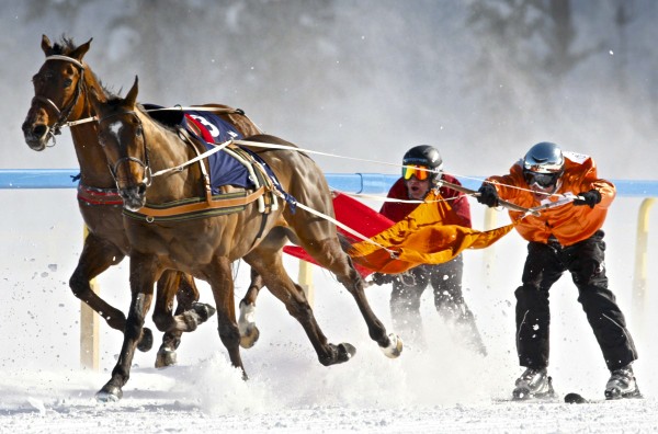 SKIJOR INTERNATIONAL PROMO