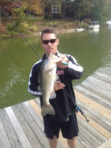 baybass-tcr-rod.jpg