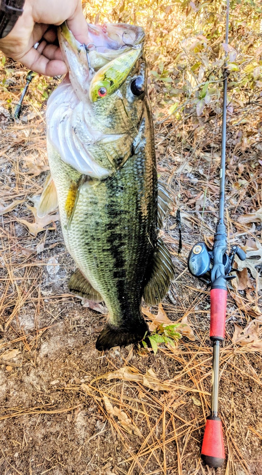 Pete's fish.jpeg