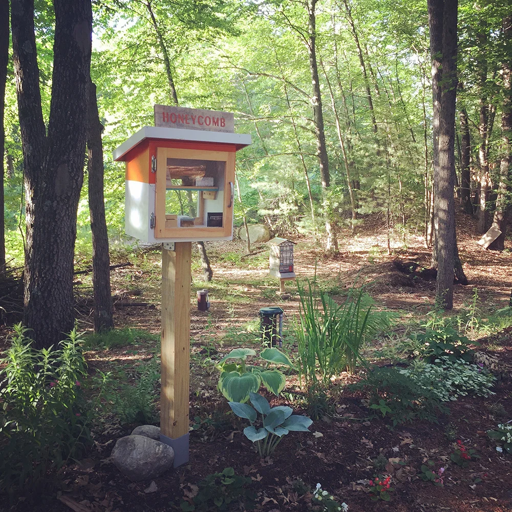 Spring-honey-store.jpg