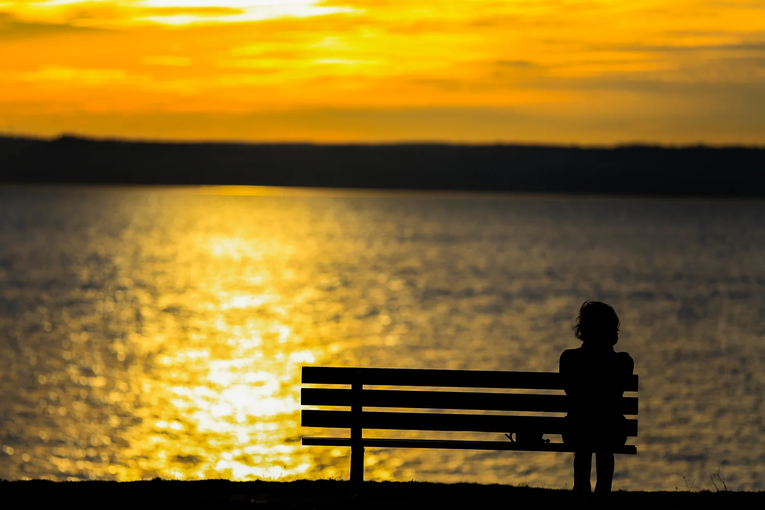   Would you like to join me on the bench?﻿  