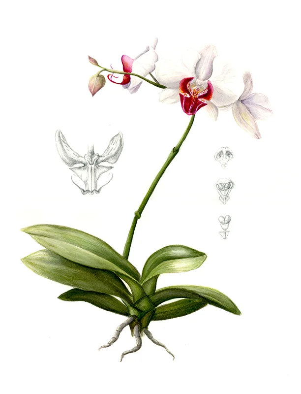 for website.jpg