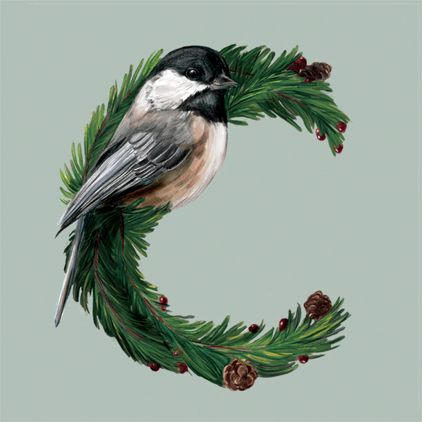 chickadee_72.jpg