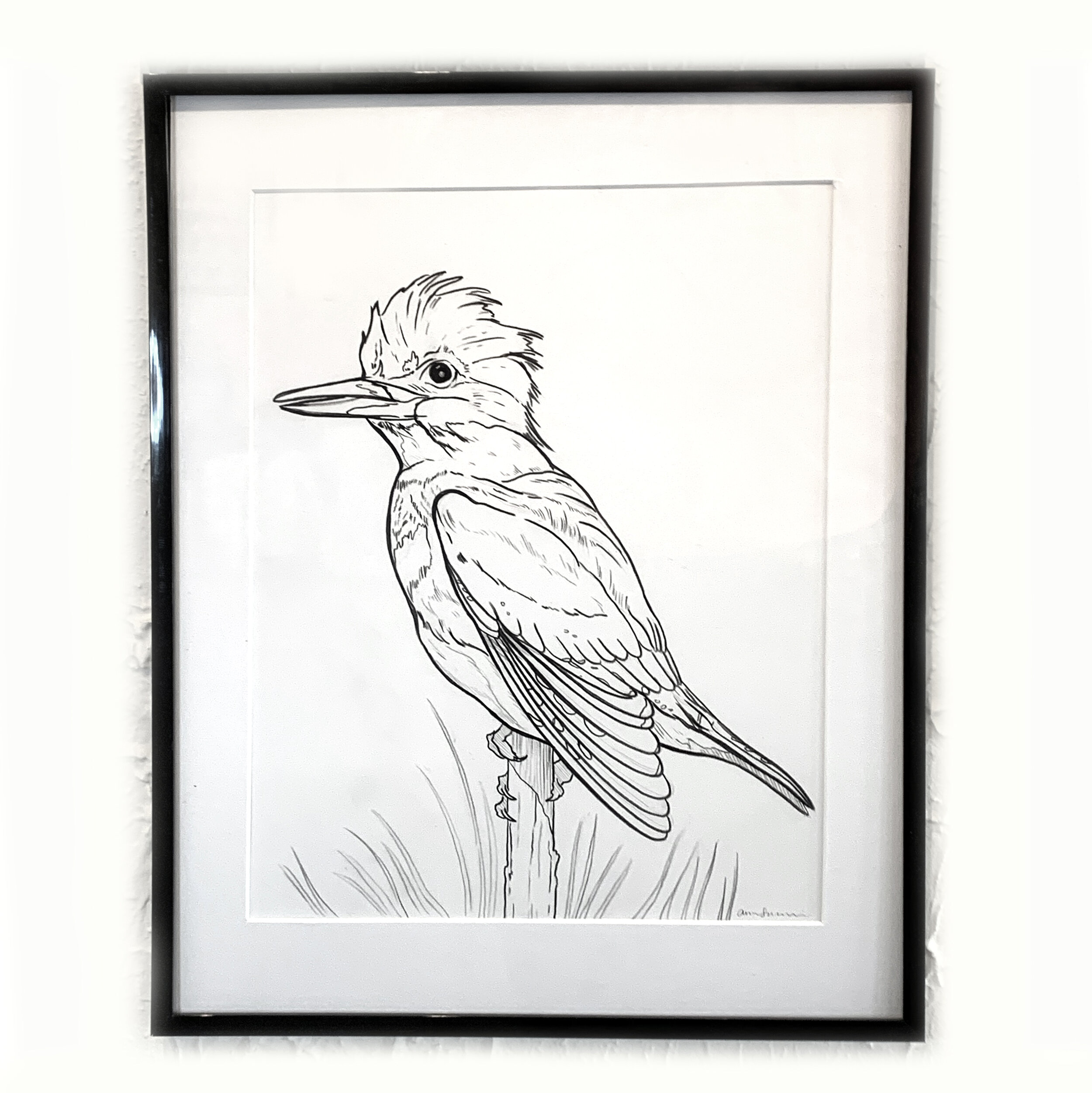 808 Kingfisher Sketch Images, Stock Photos & Vectors | Shutterstock