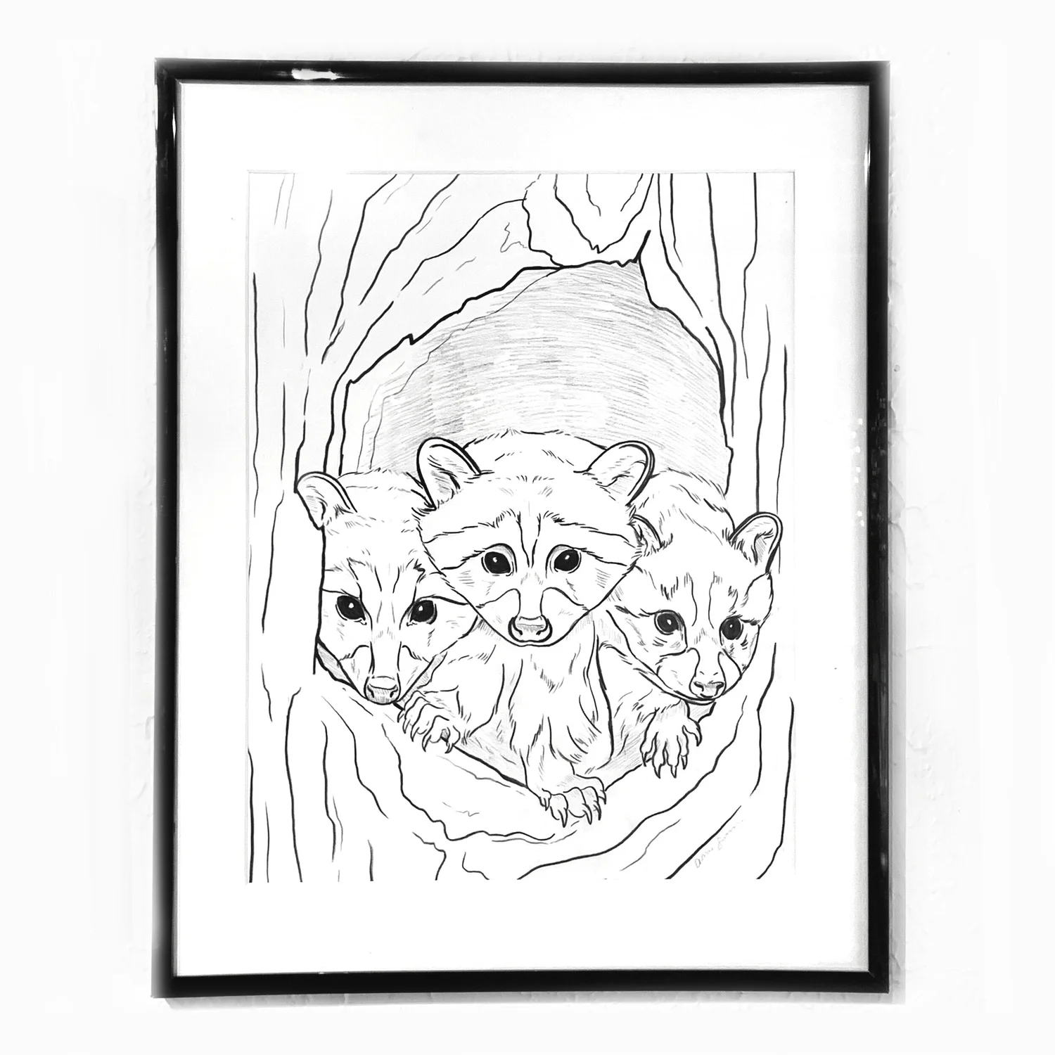 How To Draw A Realistic Raccoon