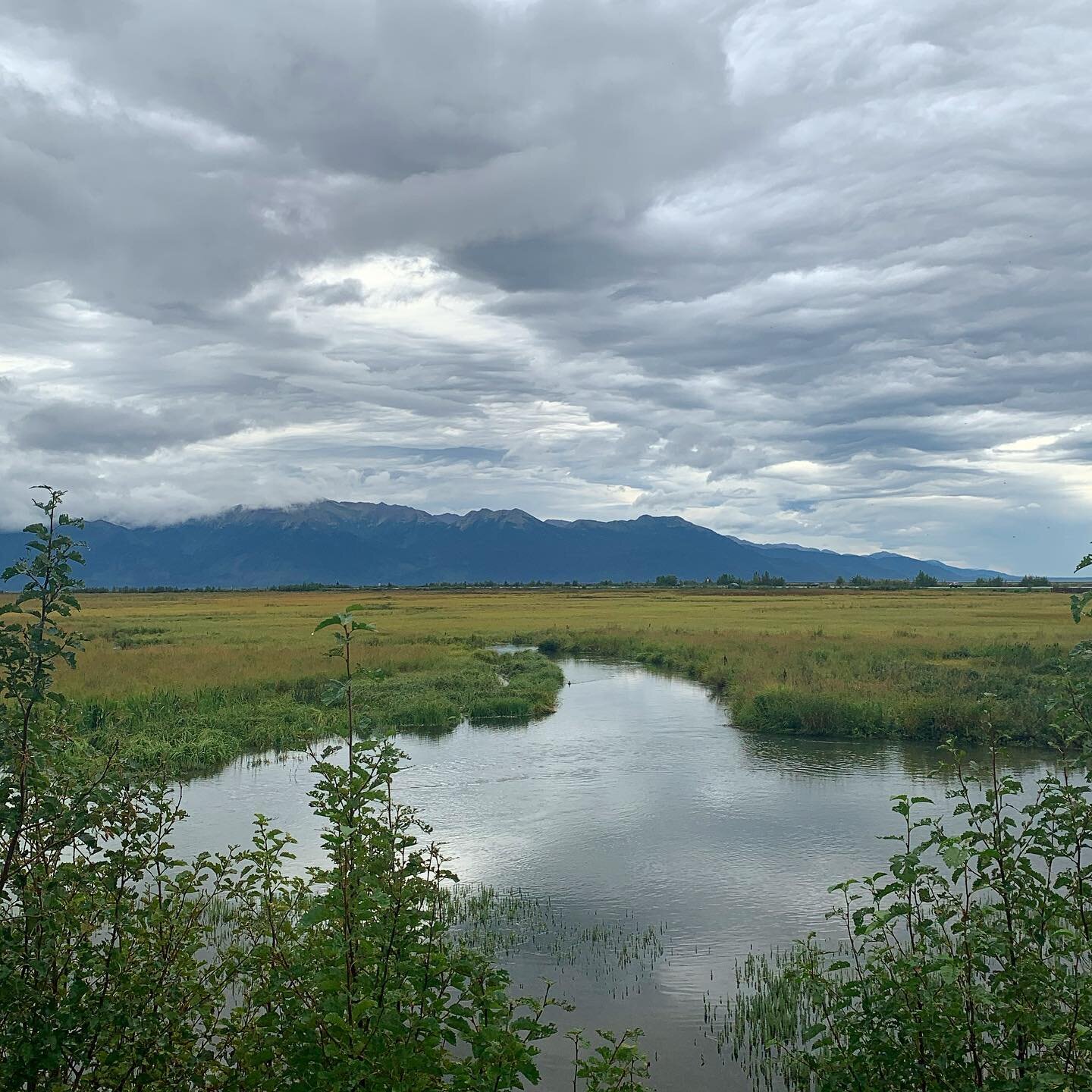 Those clouds 😍
📍 Potter Marsh, AK