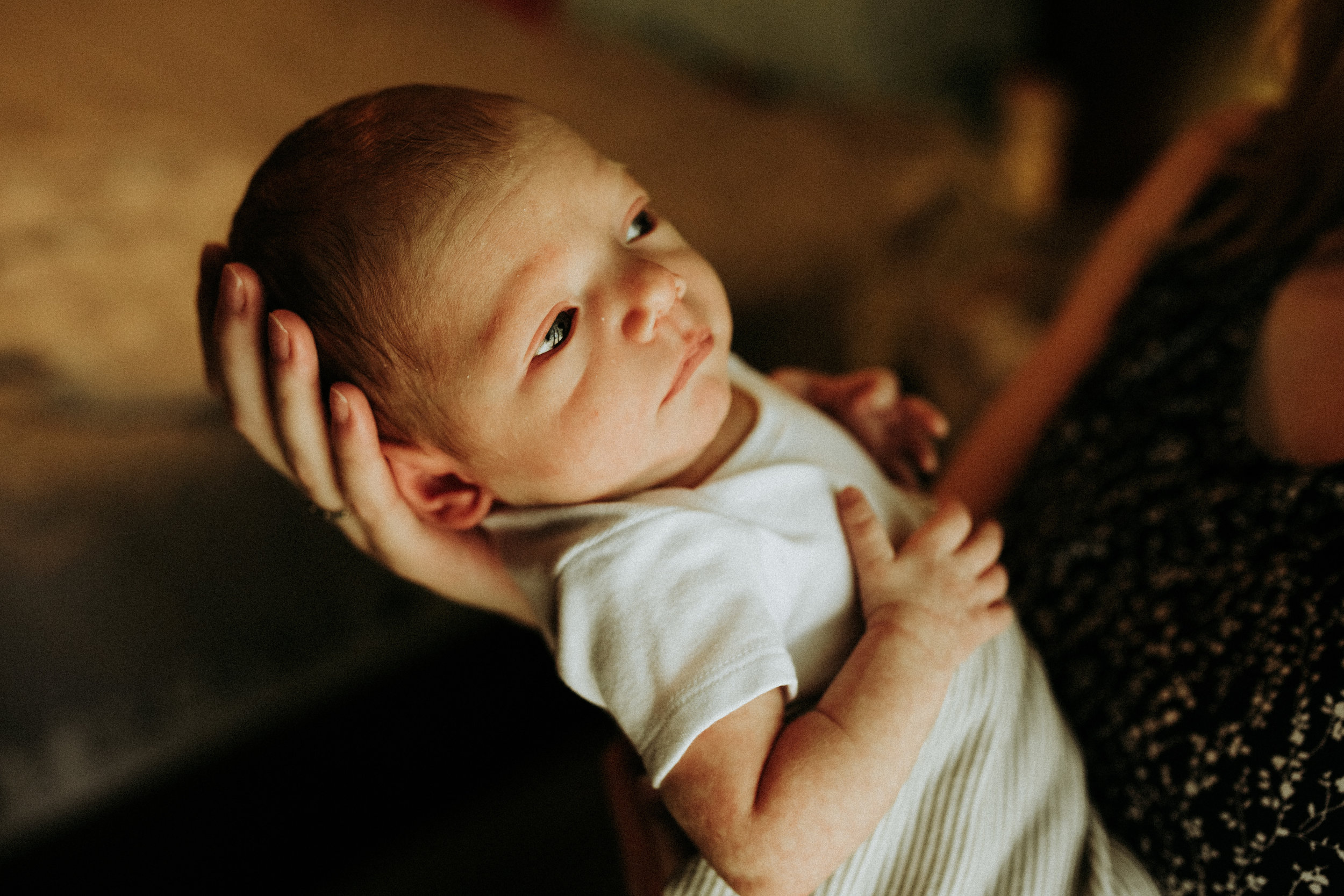 Newborn-Photographer-Bellingham-WA-Brianne-Bell-Photography-(Sebastian)-1112.jpg