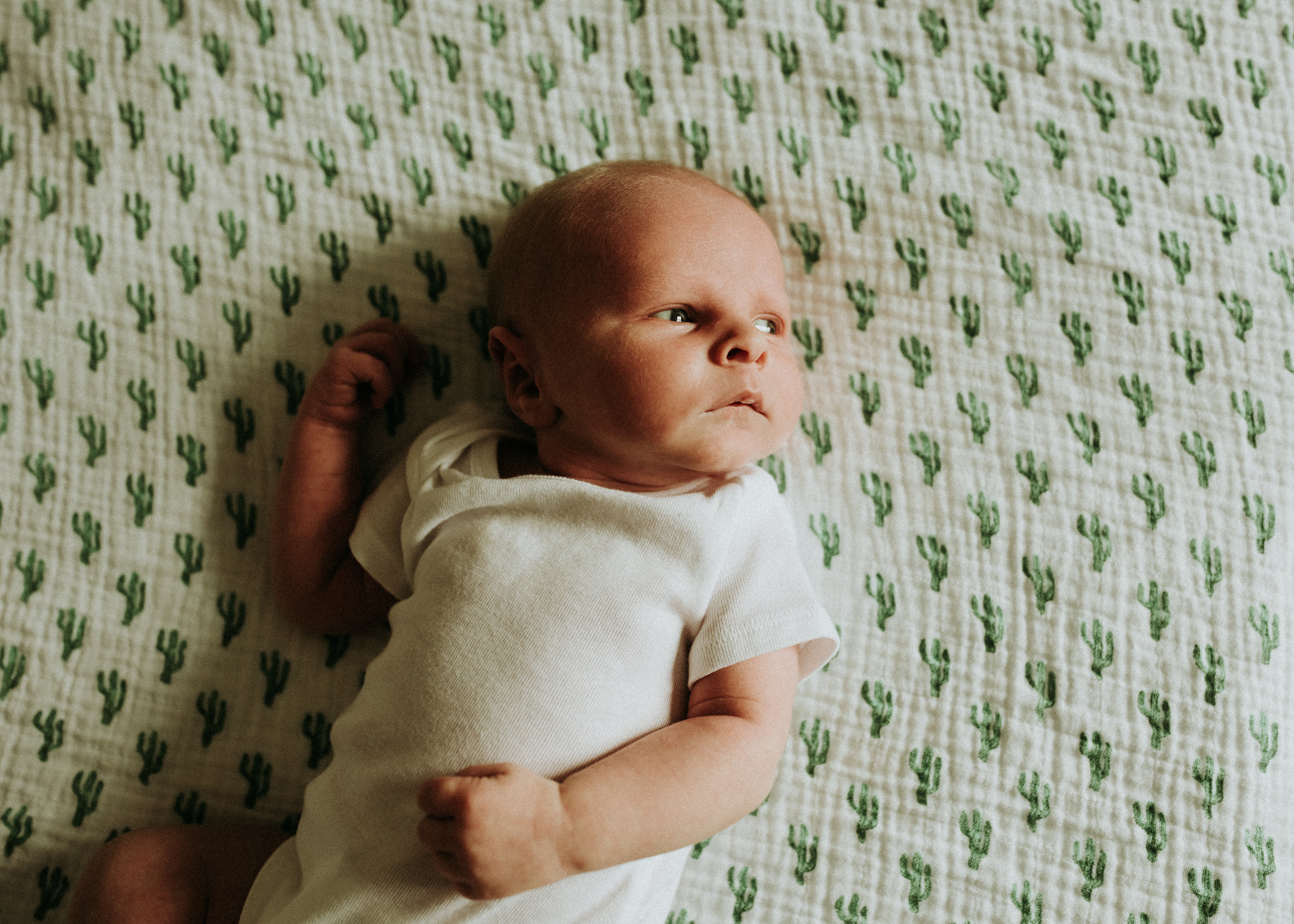Newborn-Photographer-Bellingham-WA-Brianne-Bell-Photography-(Asa)-73.jpg