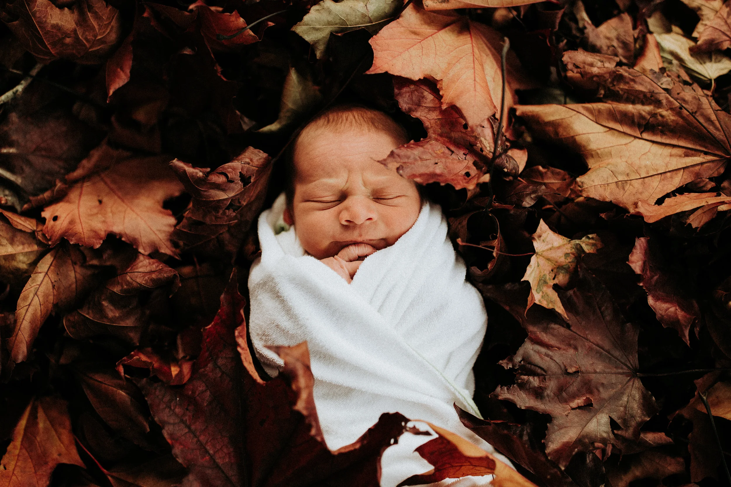 Newborn-Photographer-Bellingham-WA-Brianne-Bell-Photography-(Winston)-39.jpg