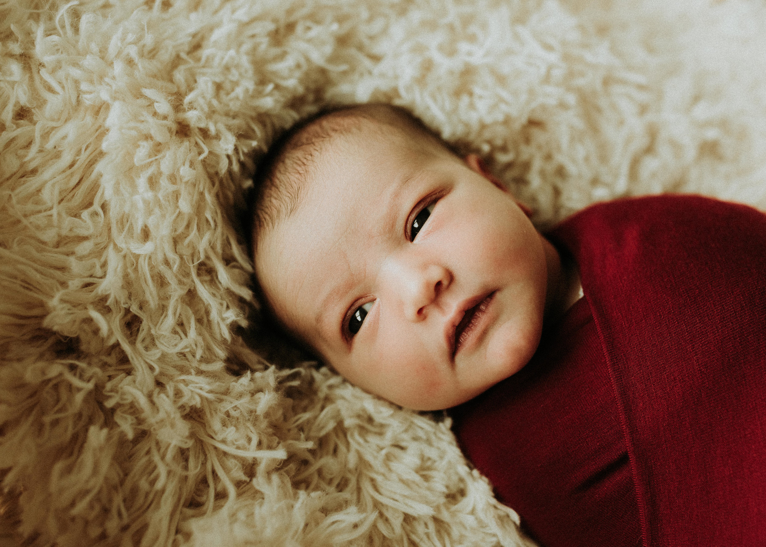 Newborn-Photographer-Bellingham-WA-Brianne-Bell-Photograpy-(Ila)-83.jpg