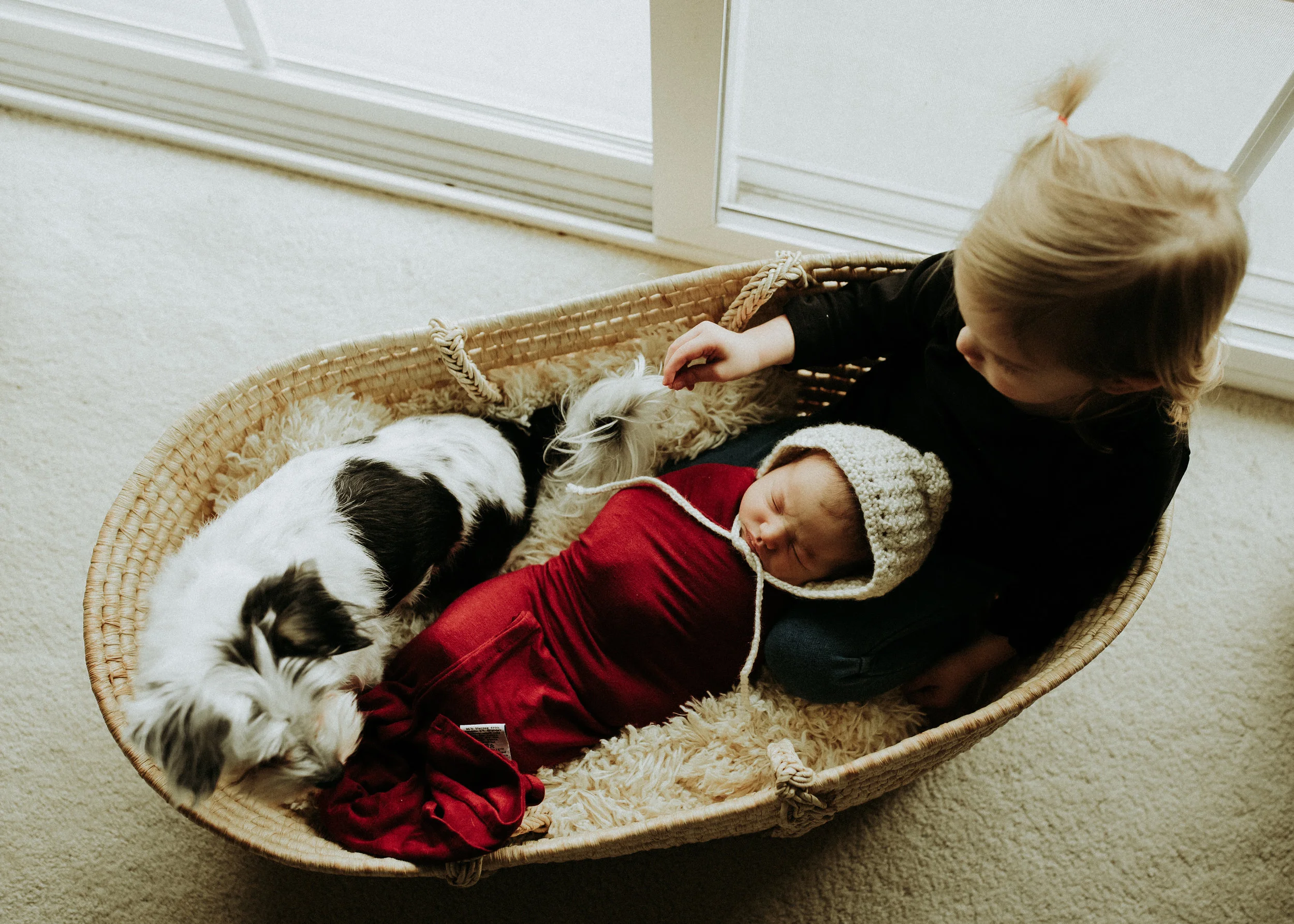 Newborn-Photographer-Bellingham-WA-Brianne-Bell-Photograpy-(Ila)-103.jpg