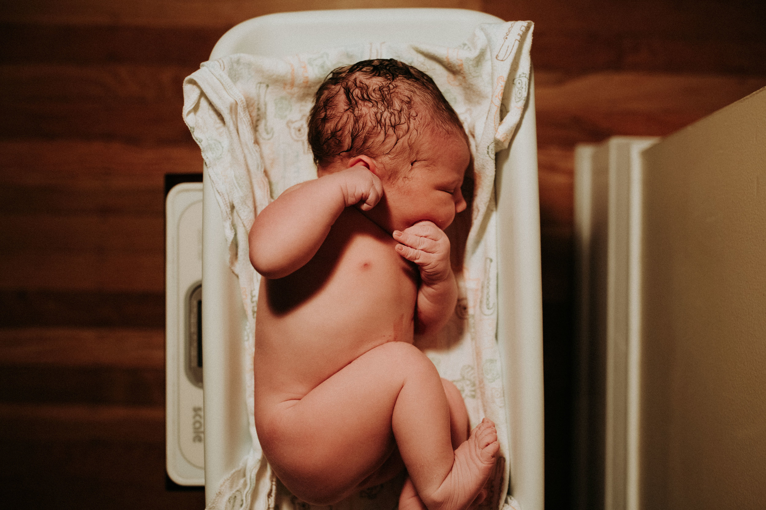 Birth-Photographer-Bellingham-WA-Brianne-Bell-Photograpy-(Ivy)-6.jpg