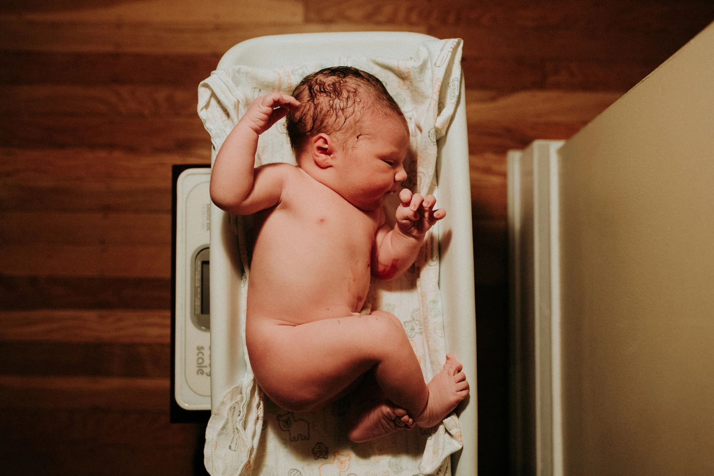 Birth-Photographer-Bellingham-WA-Brianne-Bell-Photograpy-(Ivy)-22.jpg