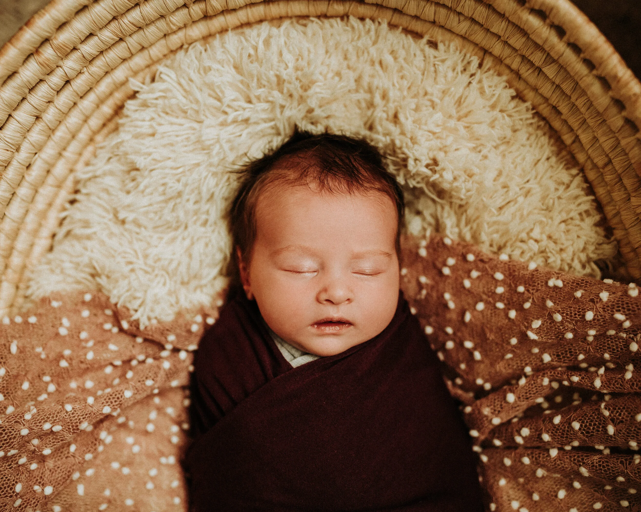 Newborn-Photographer-Bellingham-Wa-Brianne-Bell-Photography-(Dottie)-23.jpg