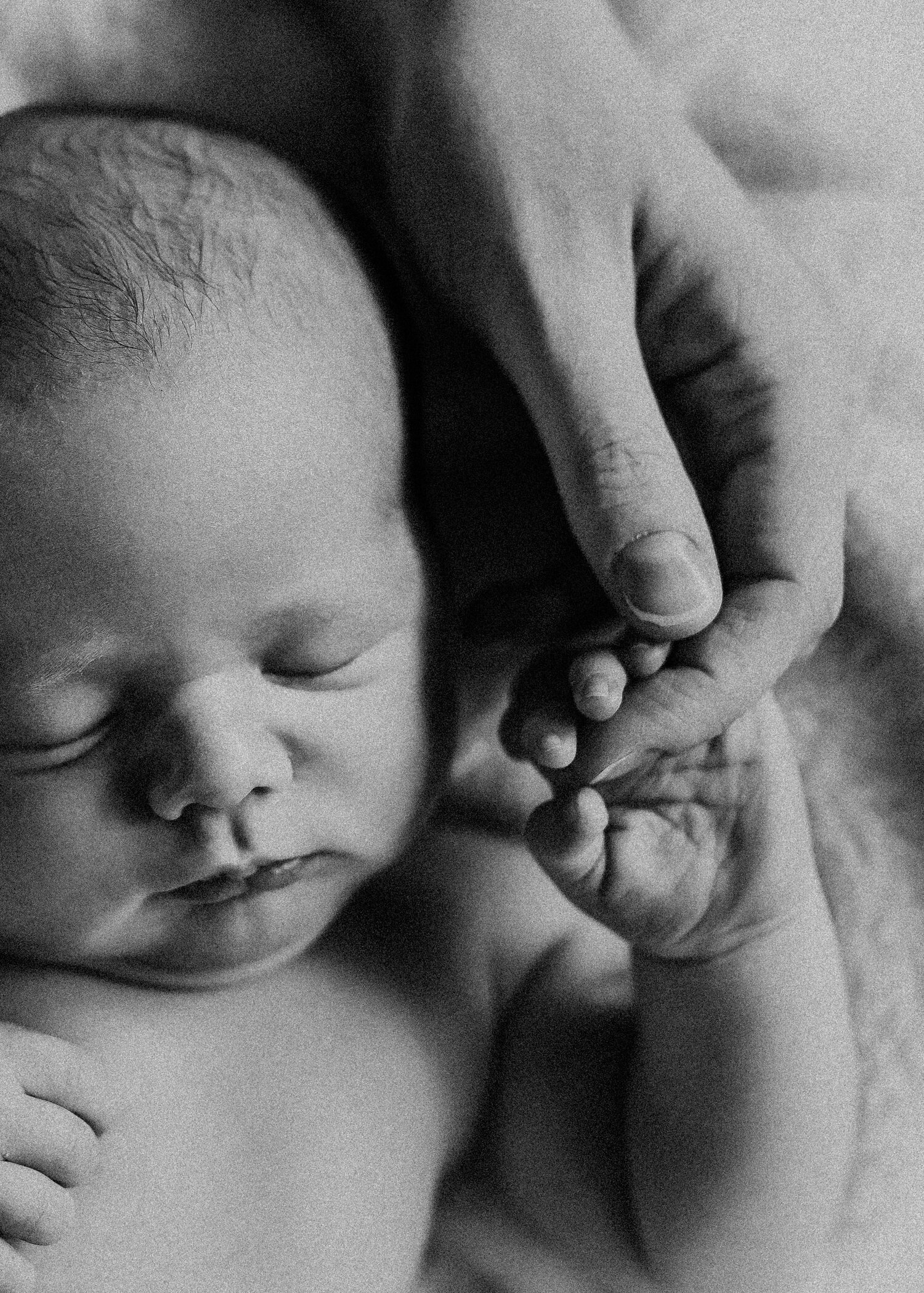 Brianne Bell Photography - Birth - Newborn - Maternity - Family ...