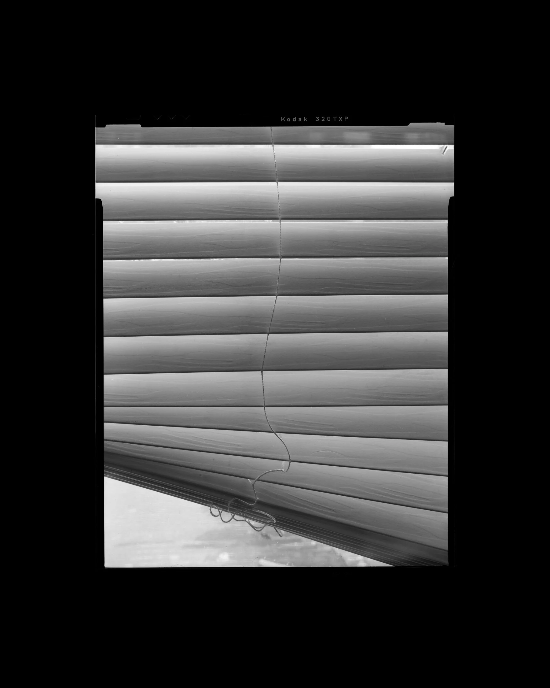 doccc08 copy 3.jpg