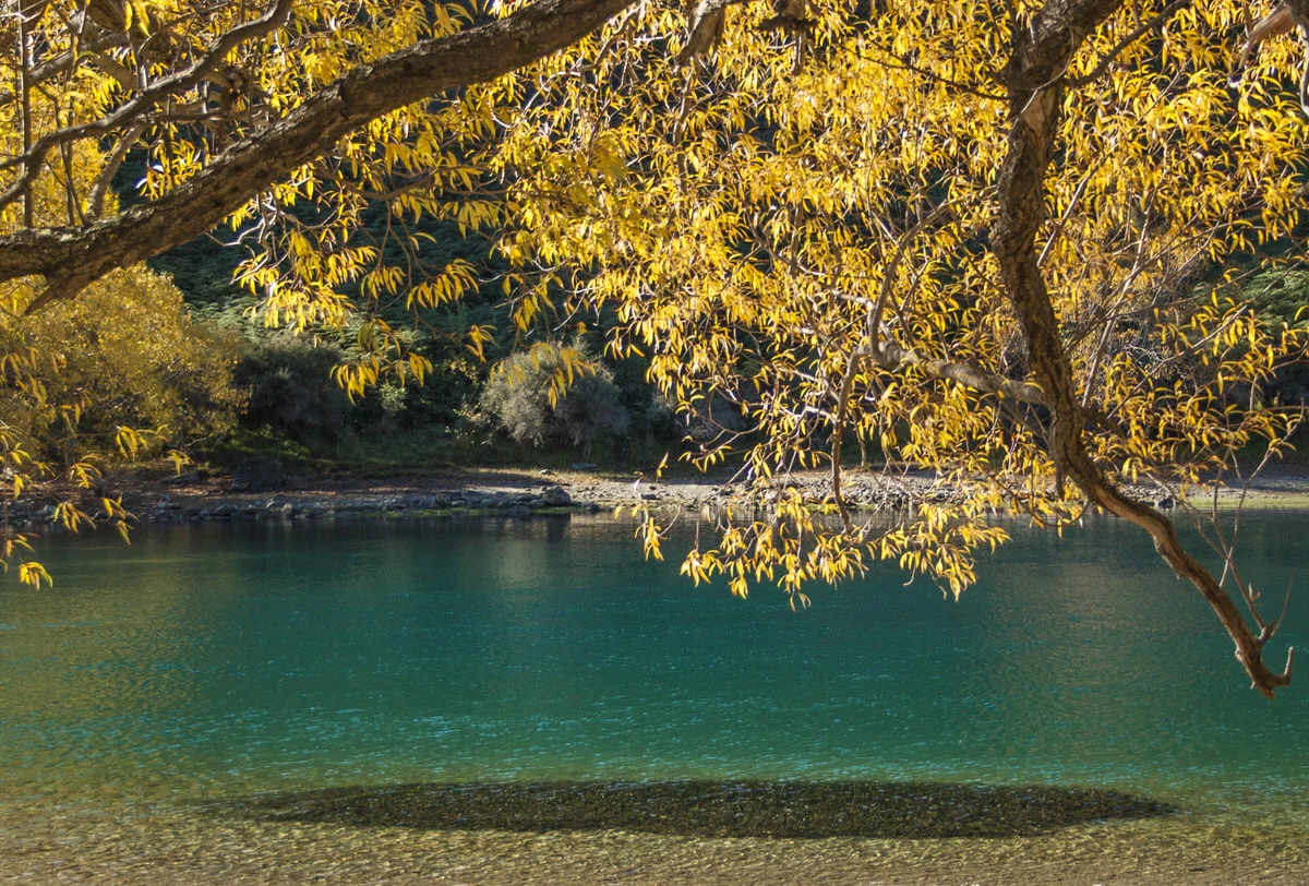 clutha-river-photo.jpg