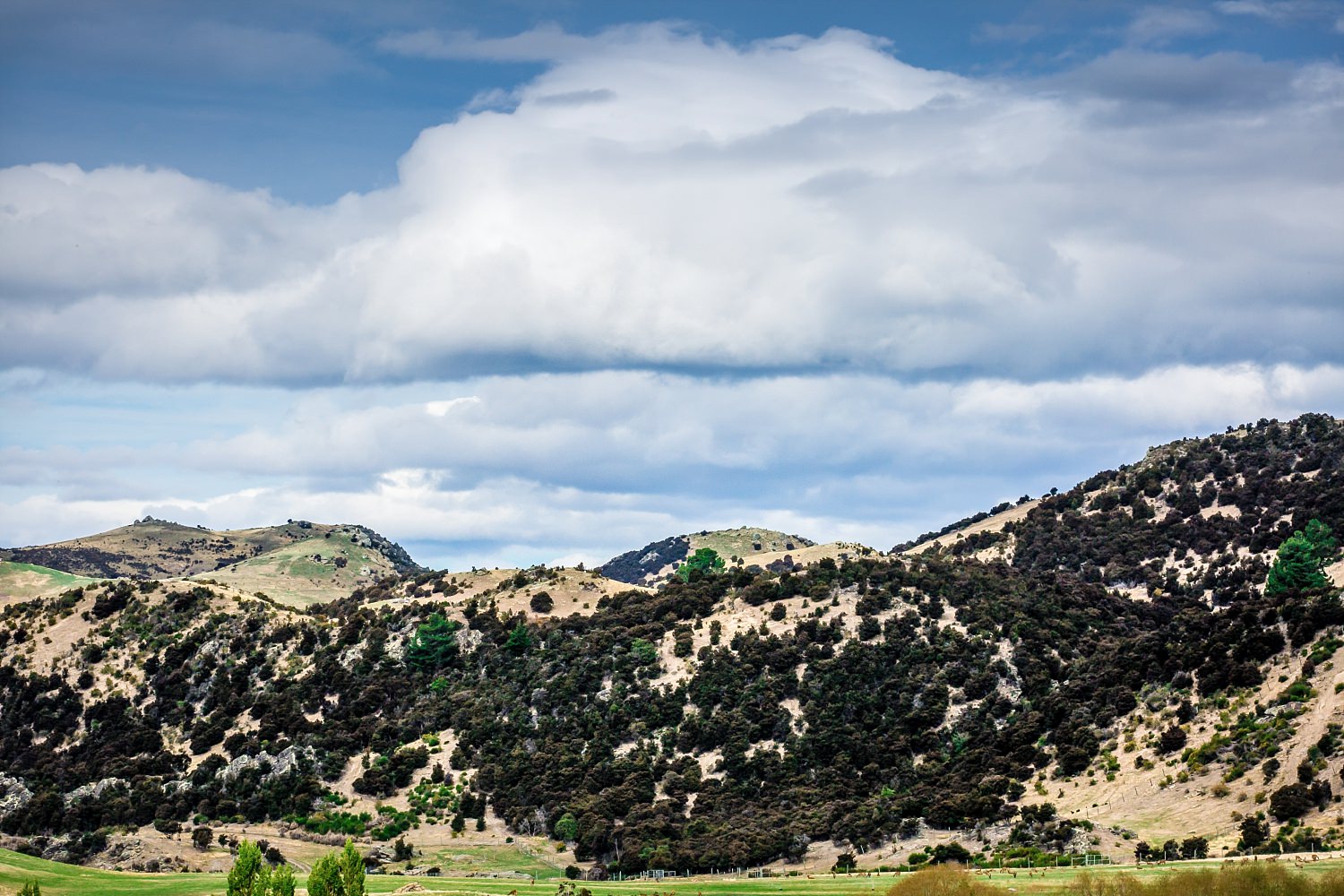 criffel-woolshed-wanaka-wedding-37.jpg
