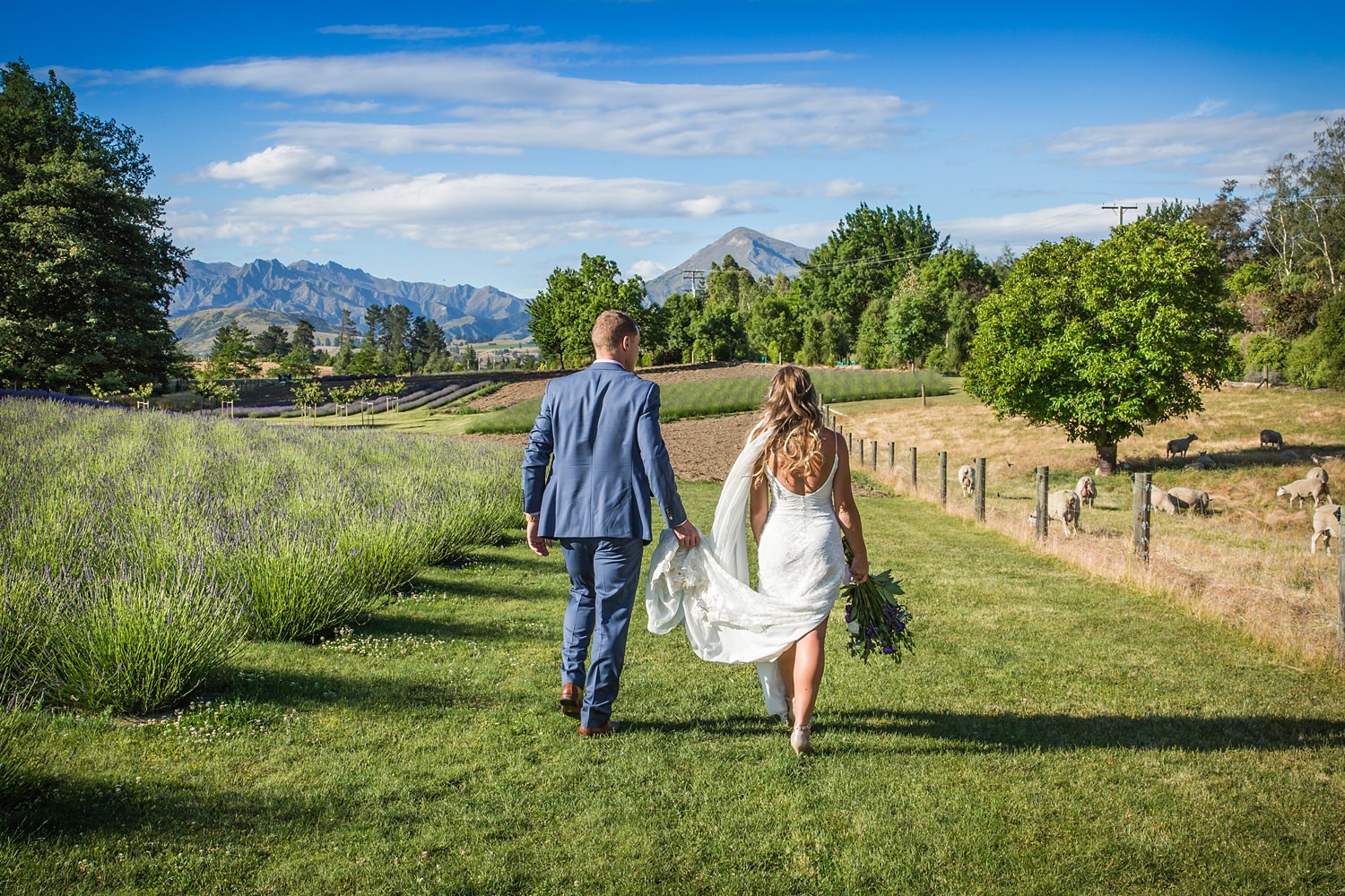 wanaka-lavender-farm-wedding-43.jpg