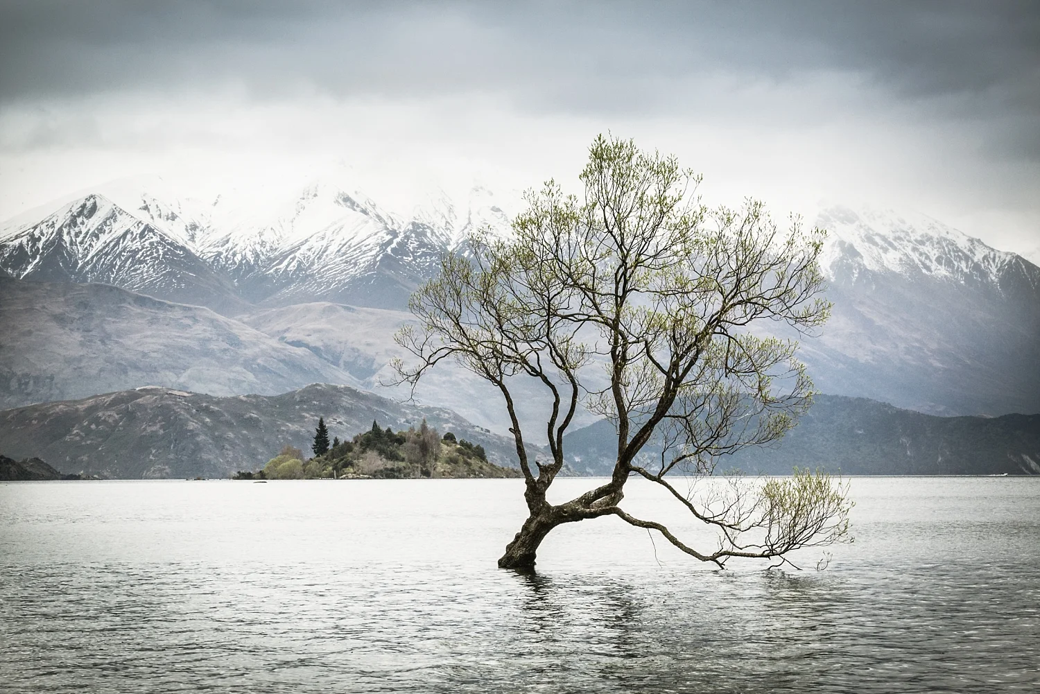 wanaka-tree-styled-shoot-22.jpg