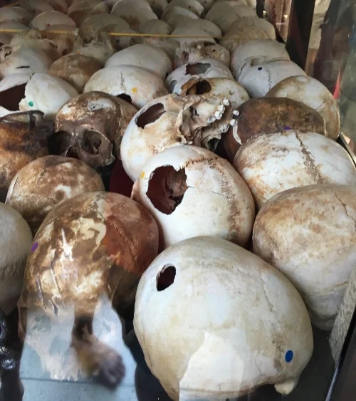 If for some reason it wasn't obvious, there are coloured stickers on each scull indicating the method of killing.