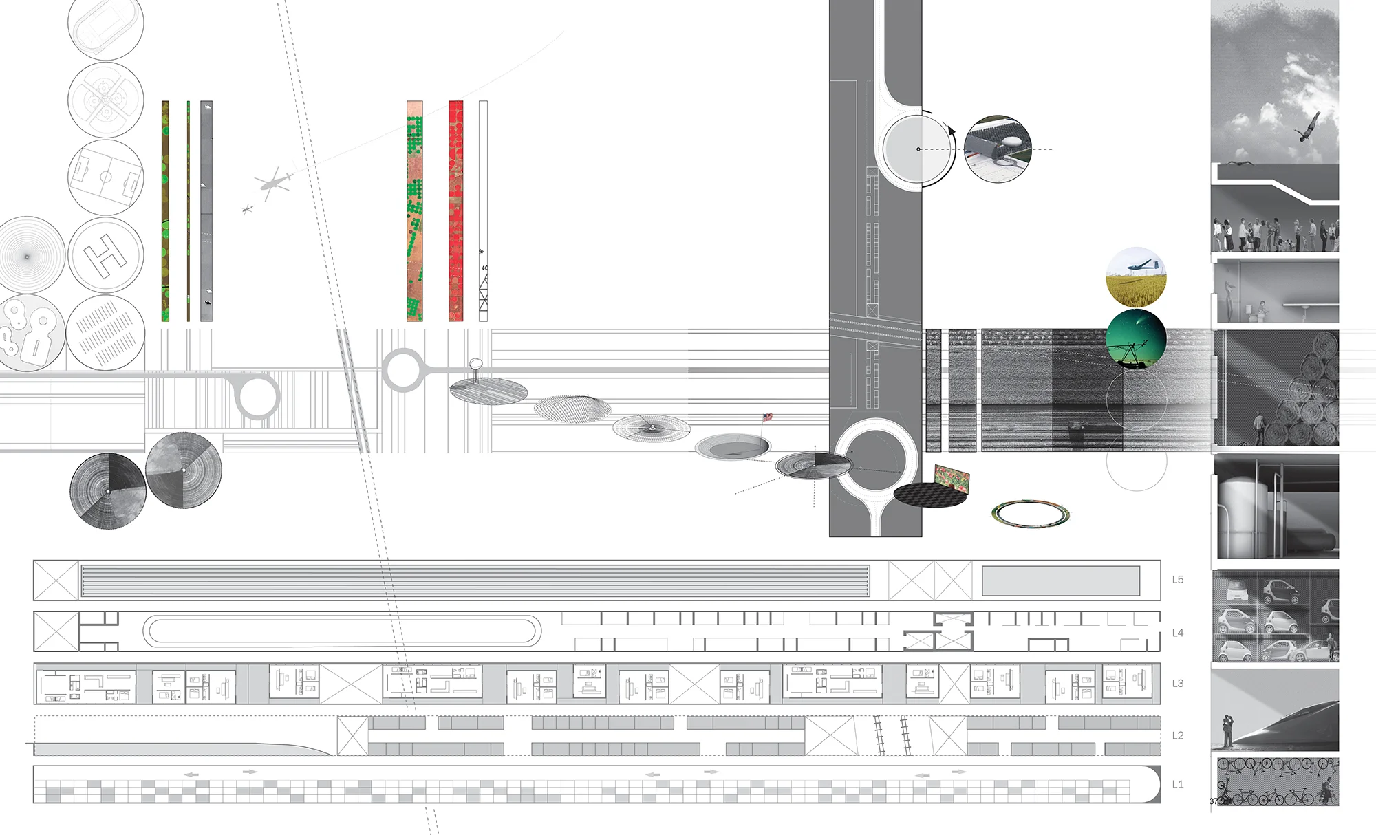 33_speeds of circulation