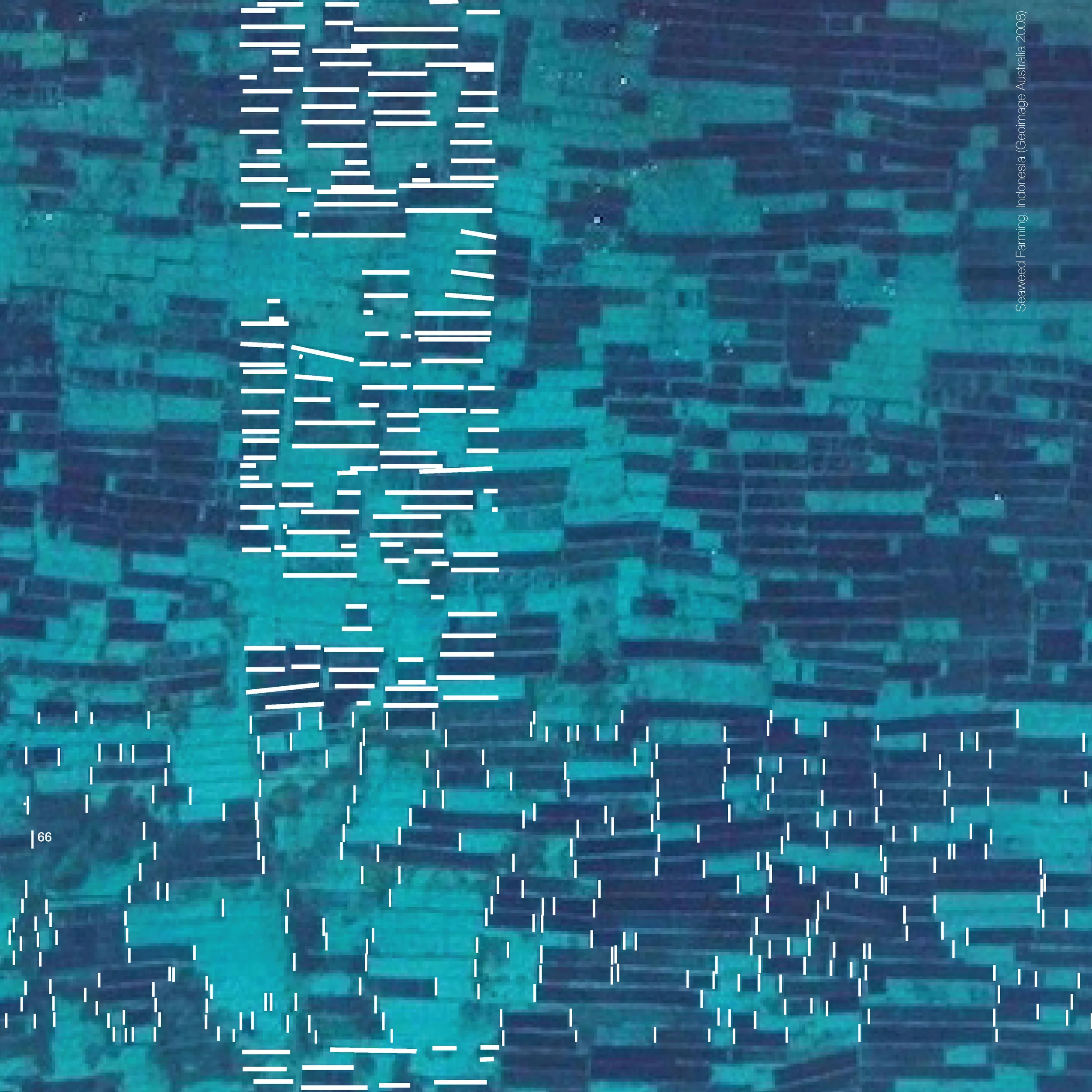66_vce_estuarine production pattern_zoom