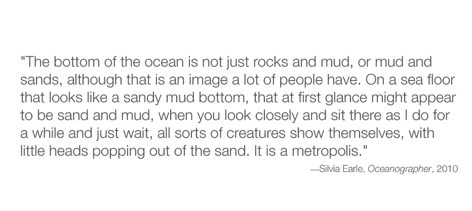 75_earle_oceanography_2010