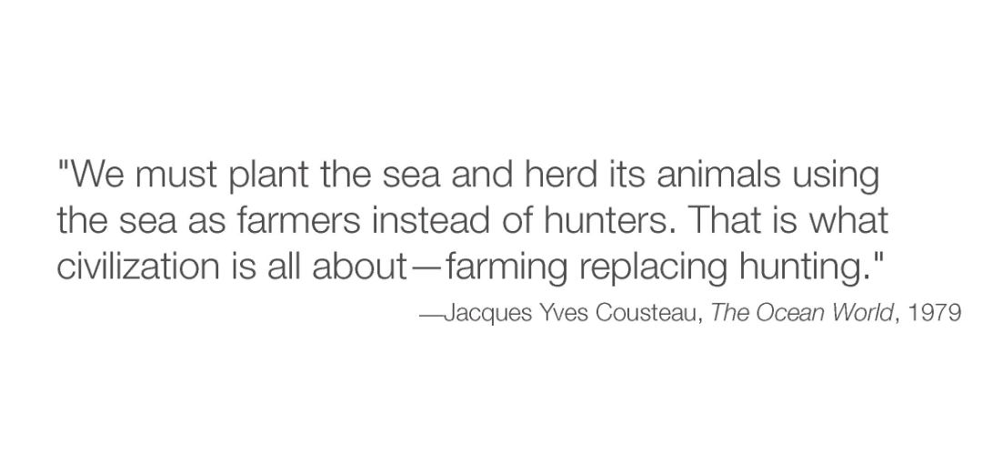 73_cousteau_the ocean world_1979