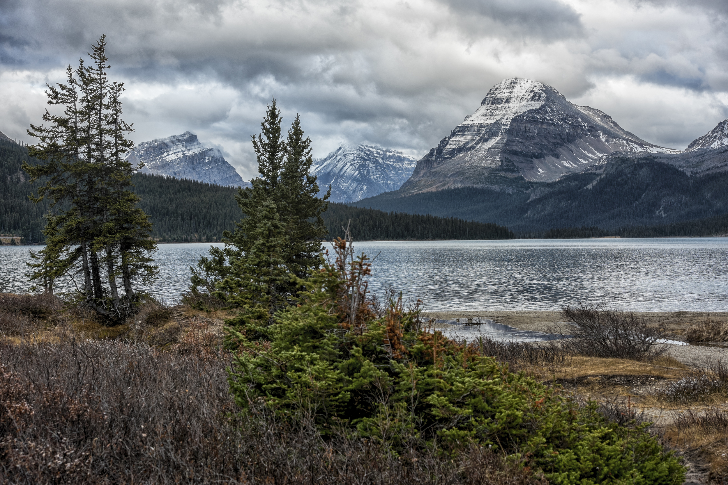 Bow Lake, Alberta