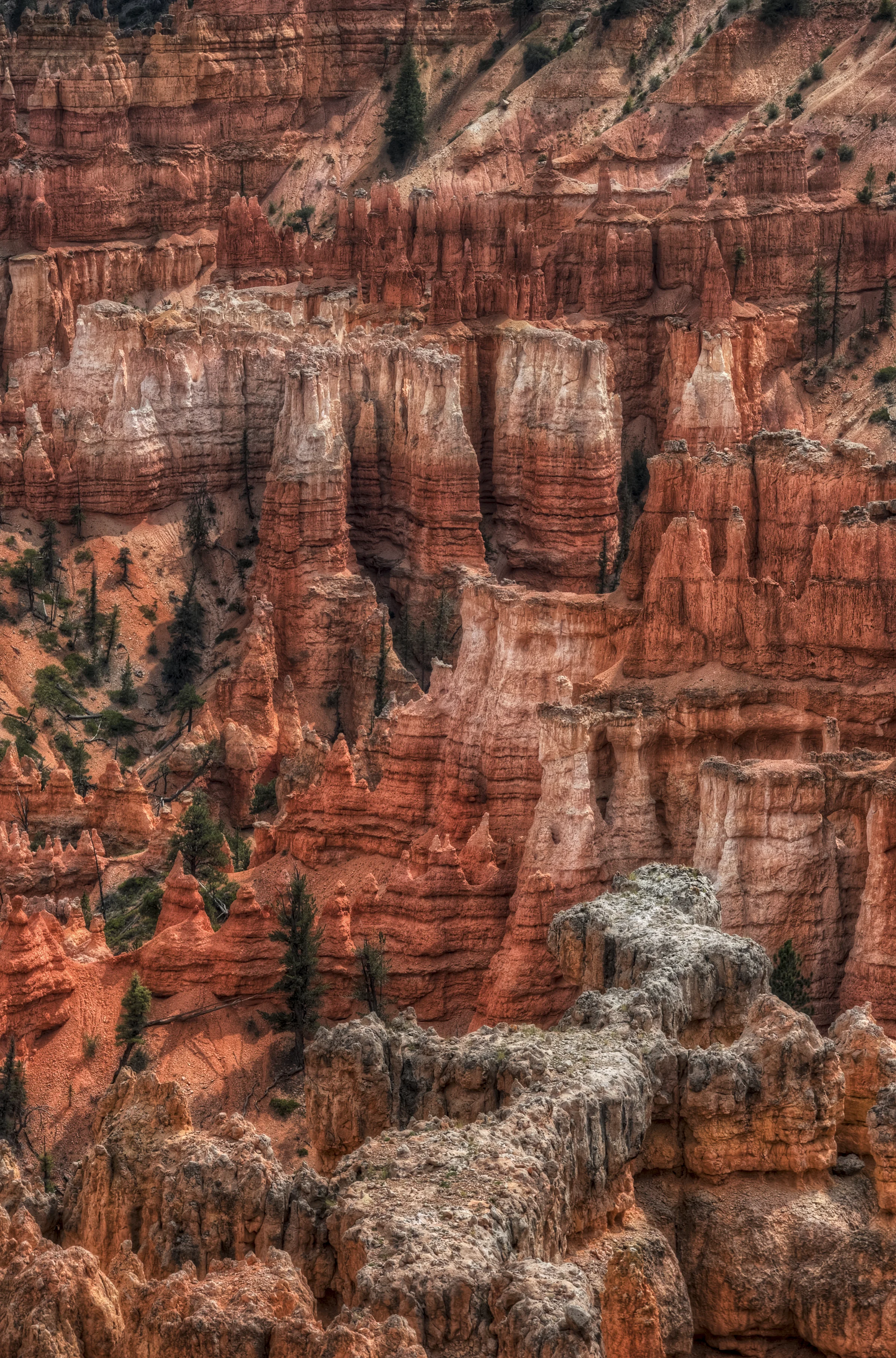 #challengeonnaturephotography | Day 4 | Bryce Canyon