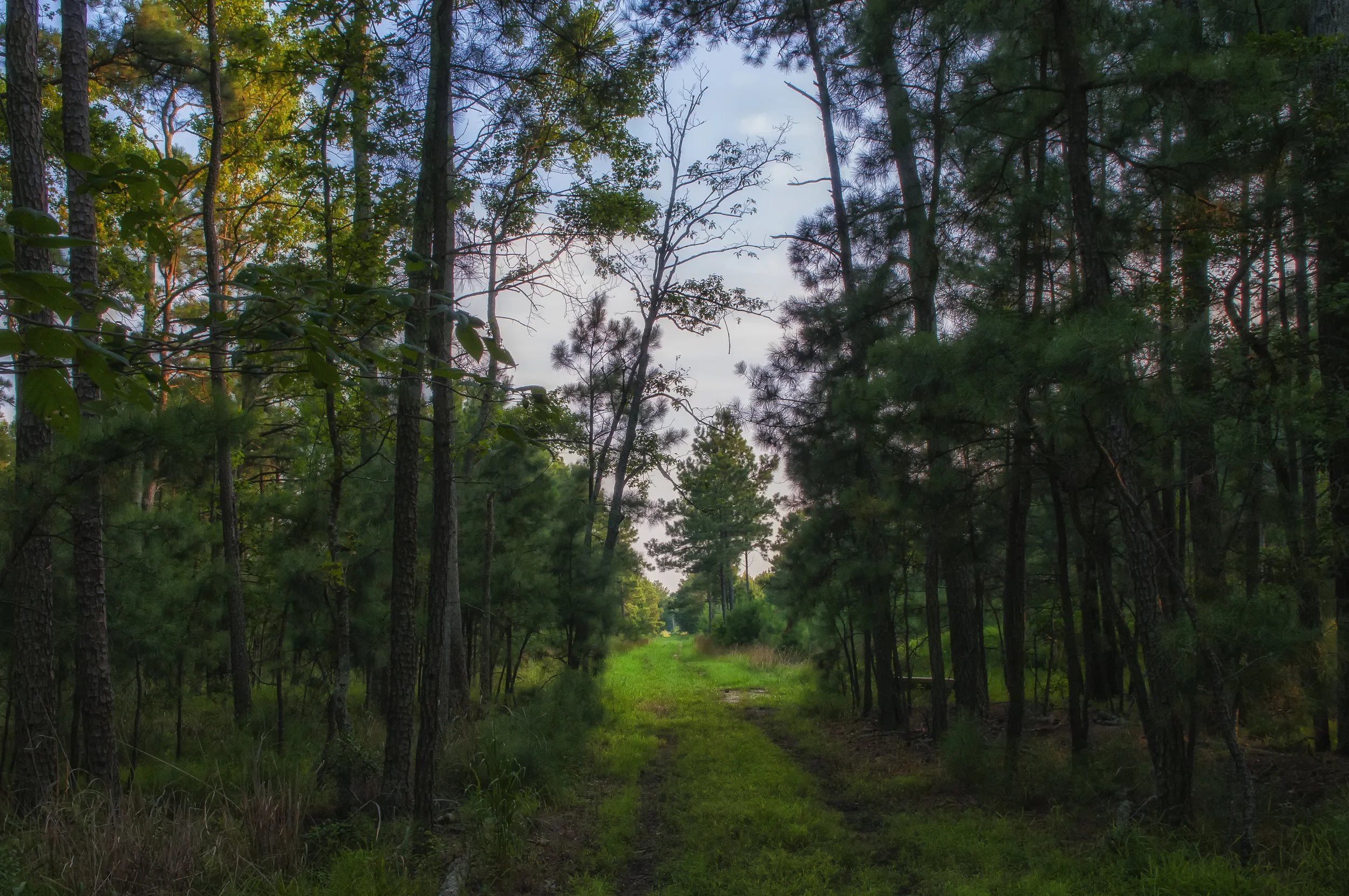 #challengeonnaturephotography | Eastern Shore, MD